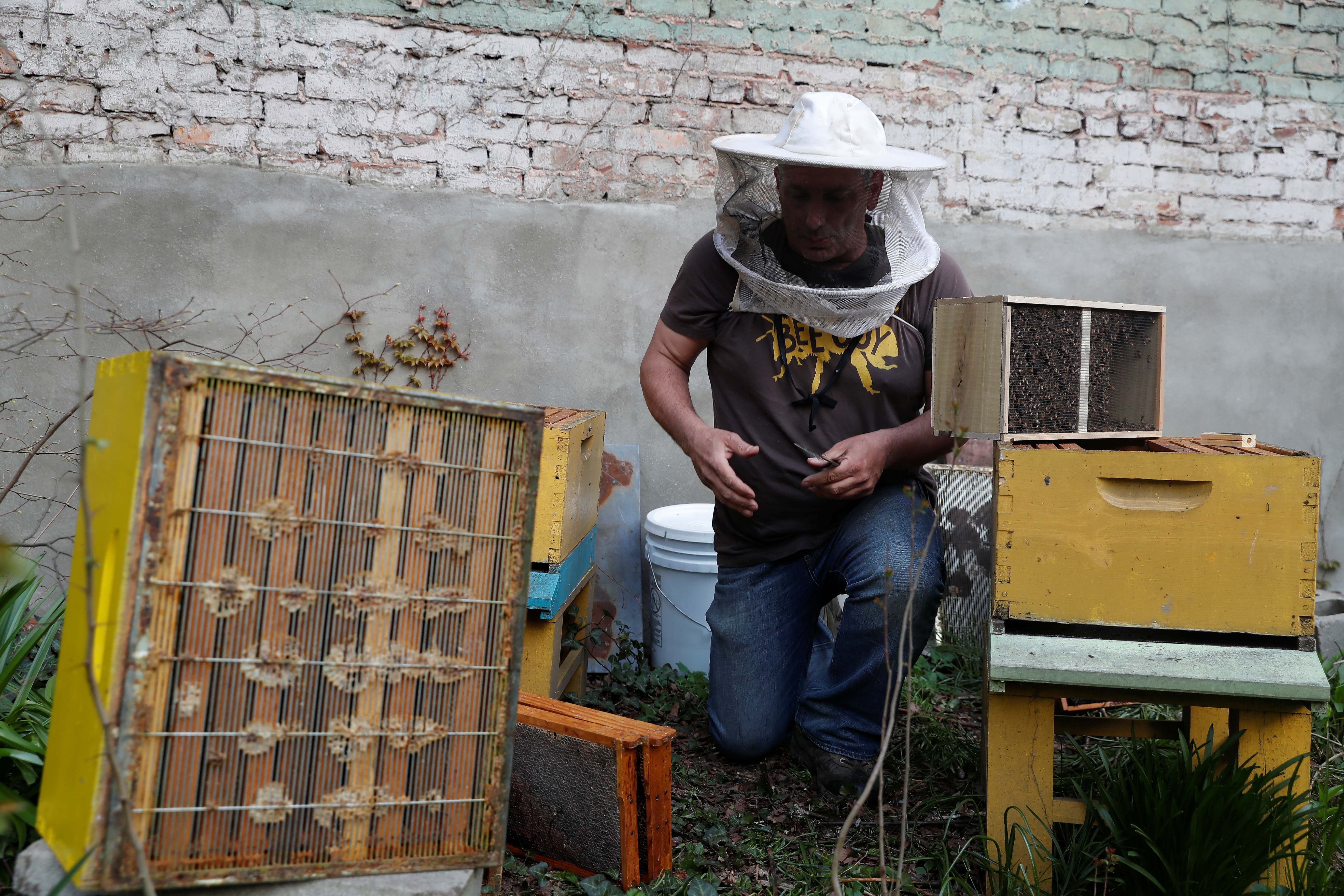 Urban beekeeper Andrew Cote replenishes bee hives at Clinton Community Garden in the Hell’s Kitchen area of New York City