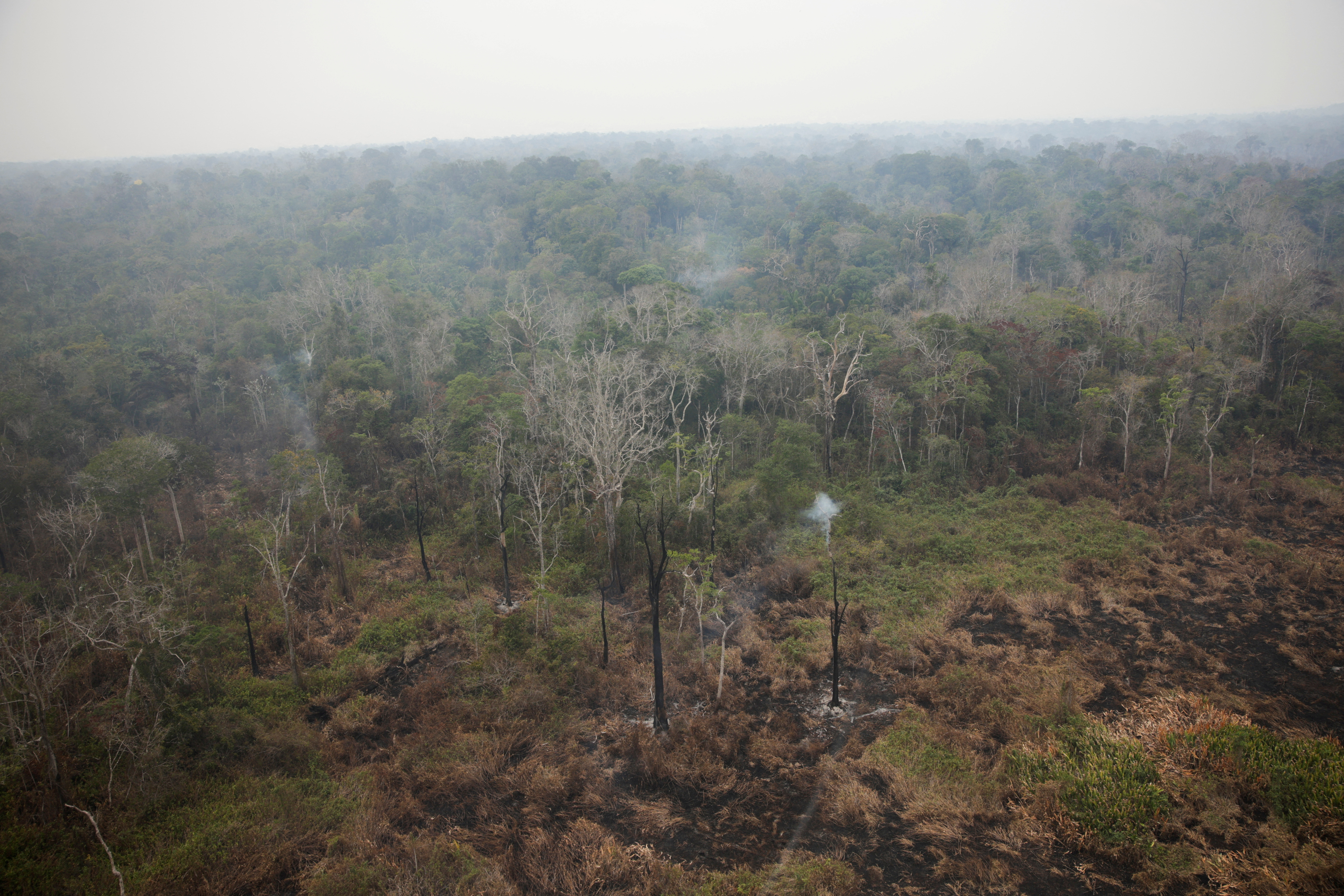 Smoke from burning vegetation rises in a rainforest in Yanomami Indigenous land