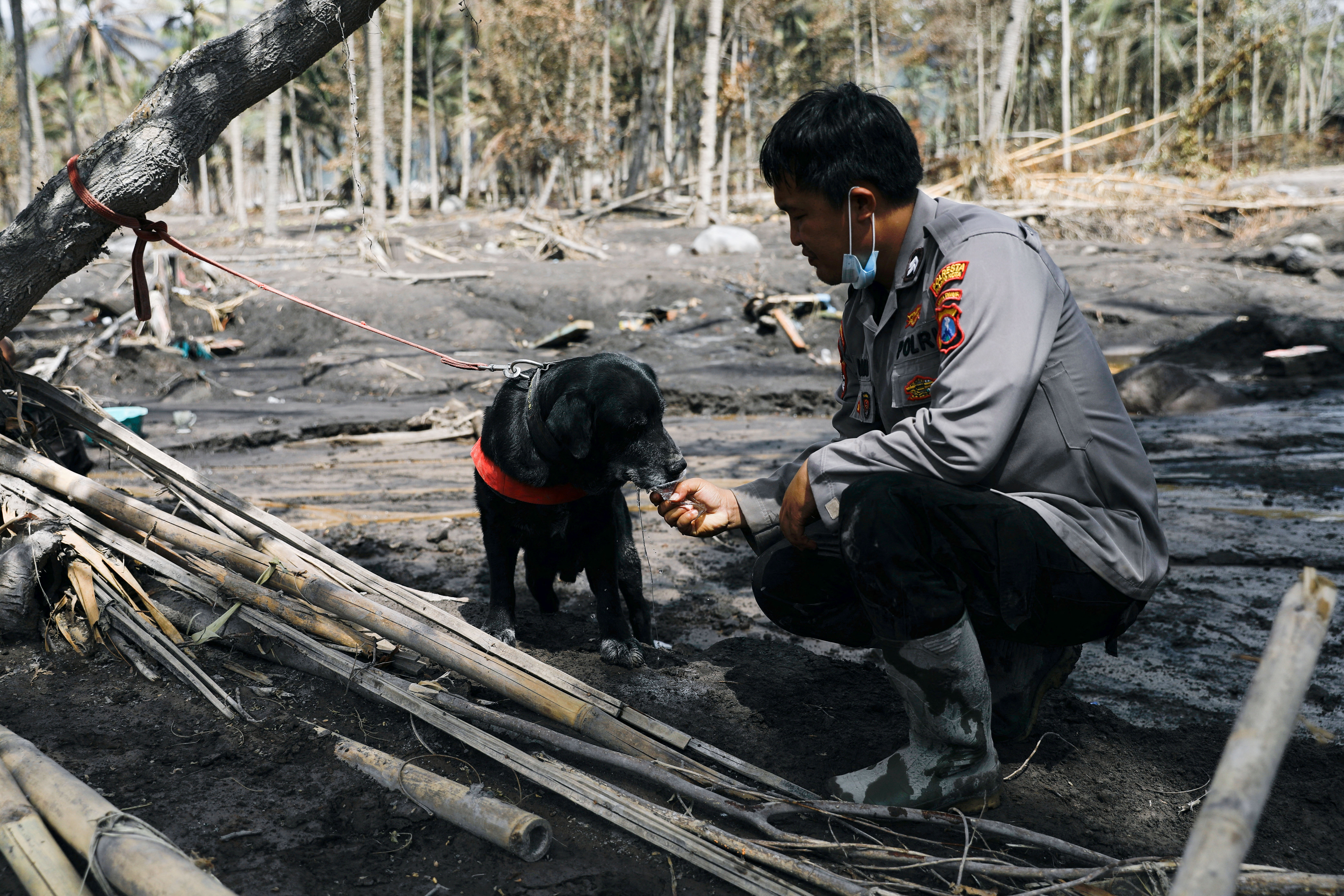 A police officer gives a drink to 9-year-old sniffer dog, Sola, as they take a break during a rescue operation in Sumberwuluh, Candipuro district, Lumajang