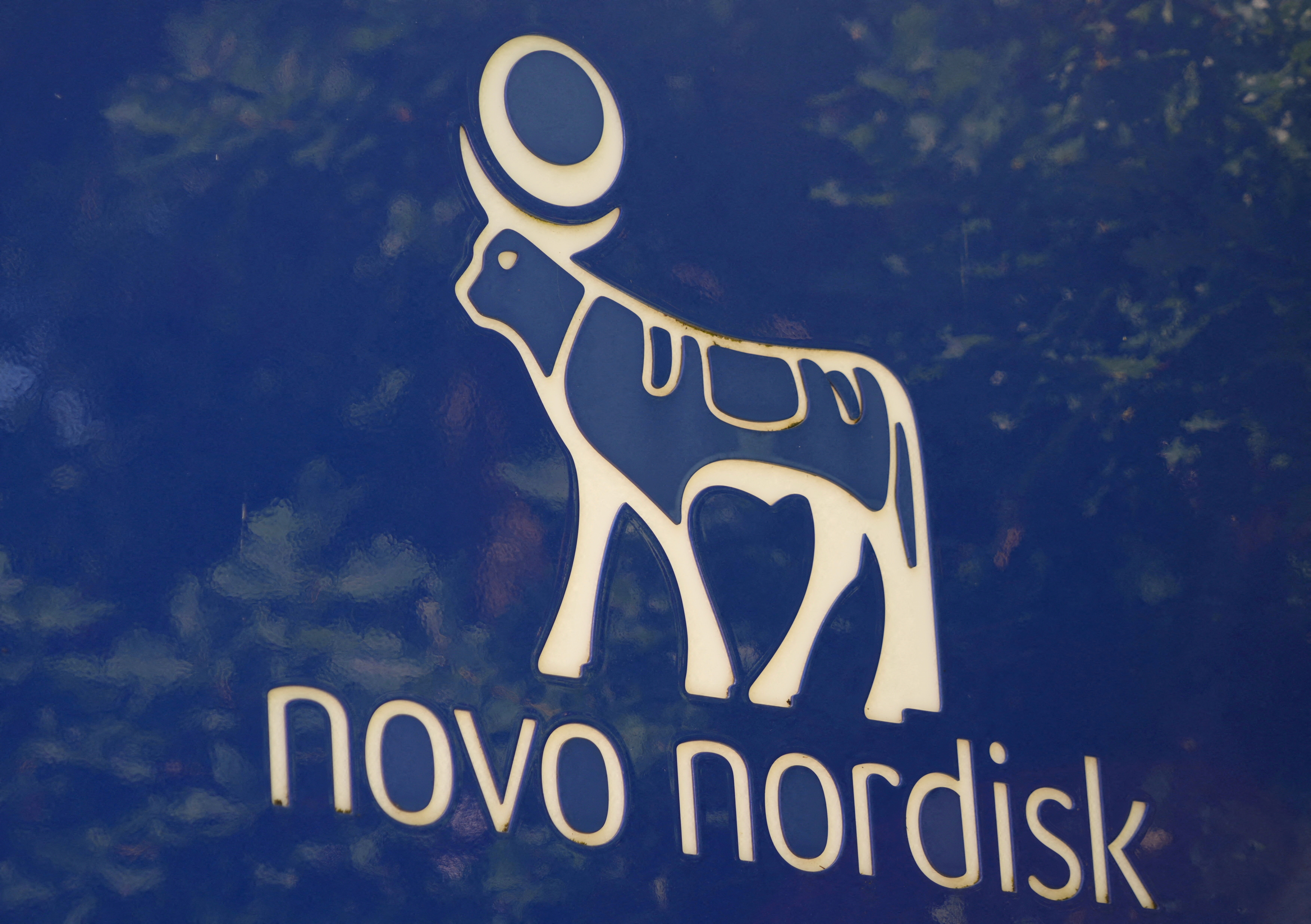 novo nordisk semaglutide alzheimer trial reports 2 failures for GLP-1 in Alzheimer's disease Novo Nordisk's GLP-1 misses goal