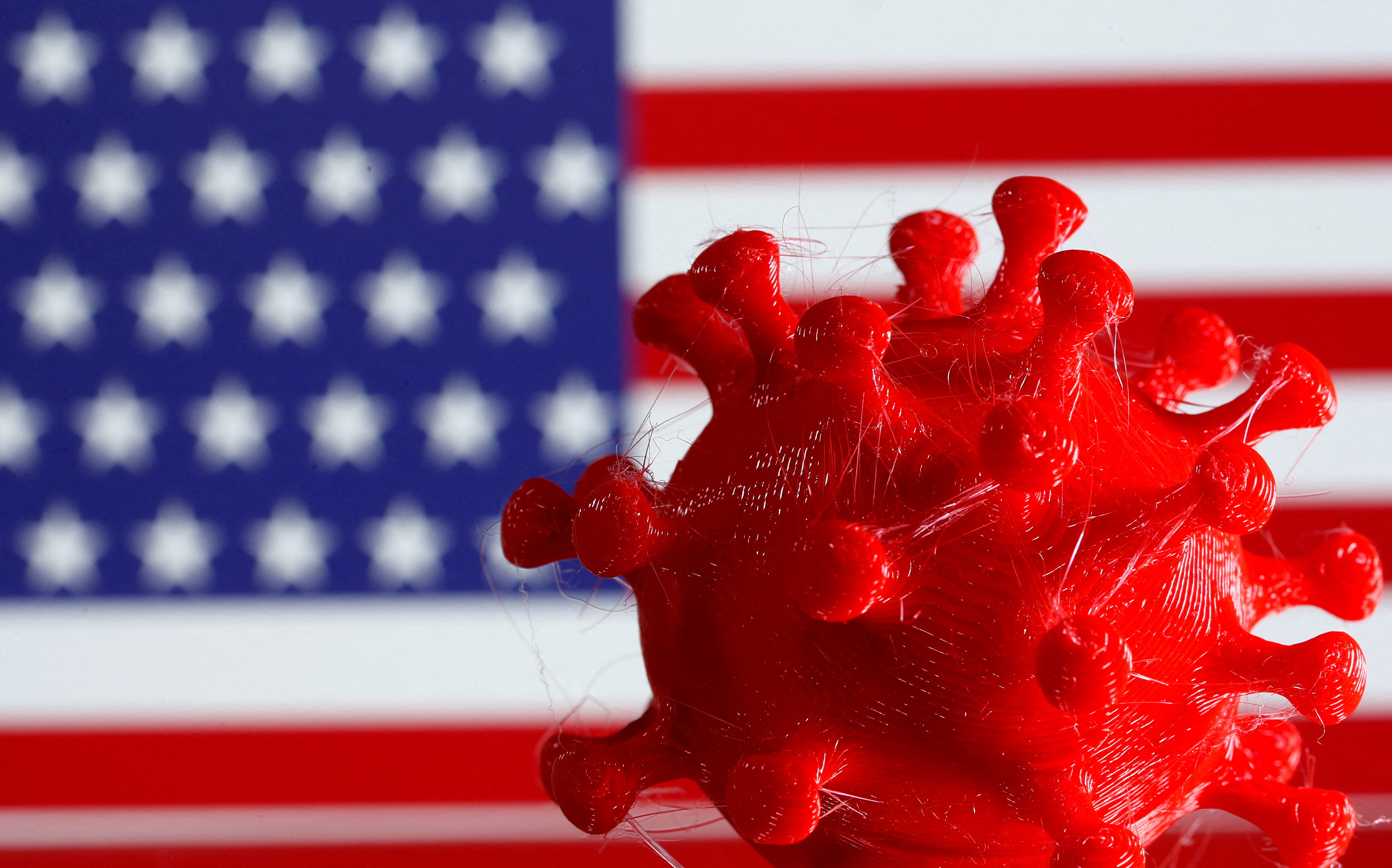 A 3D-printed coronavirus model is seen in front of a U.S. flag on display in this illustration