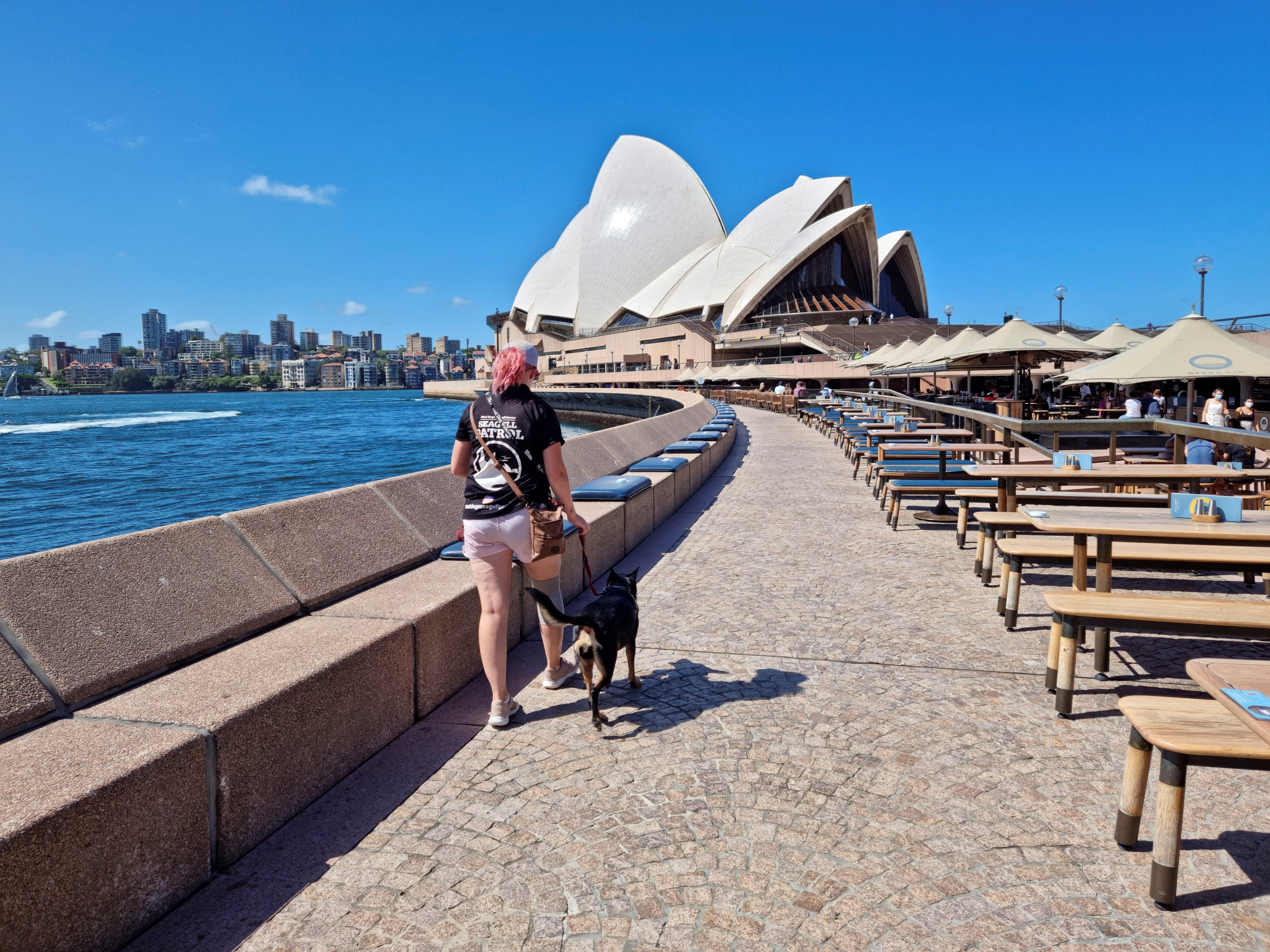 Mad Dogs and Englishmen's dog handler Carla Shoobert and Rasy the dog patrol for seagulls at Sydney’s Opera Bar Australia