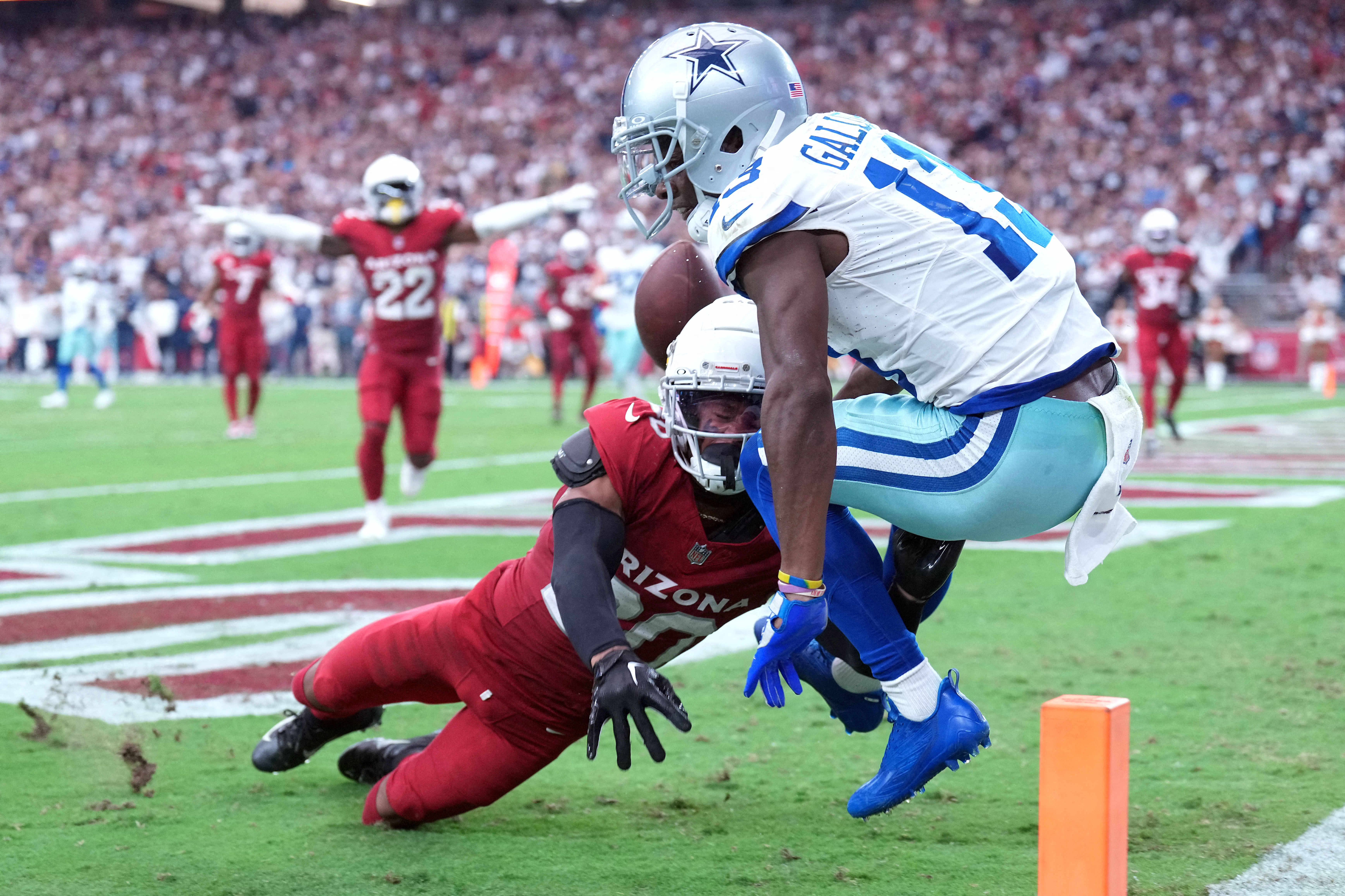 NFL: Dallas Cowboys at Arizona Cardinals, Fieldlevel