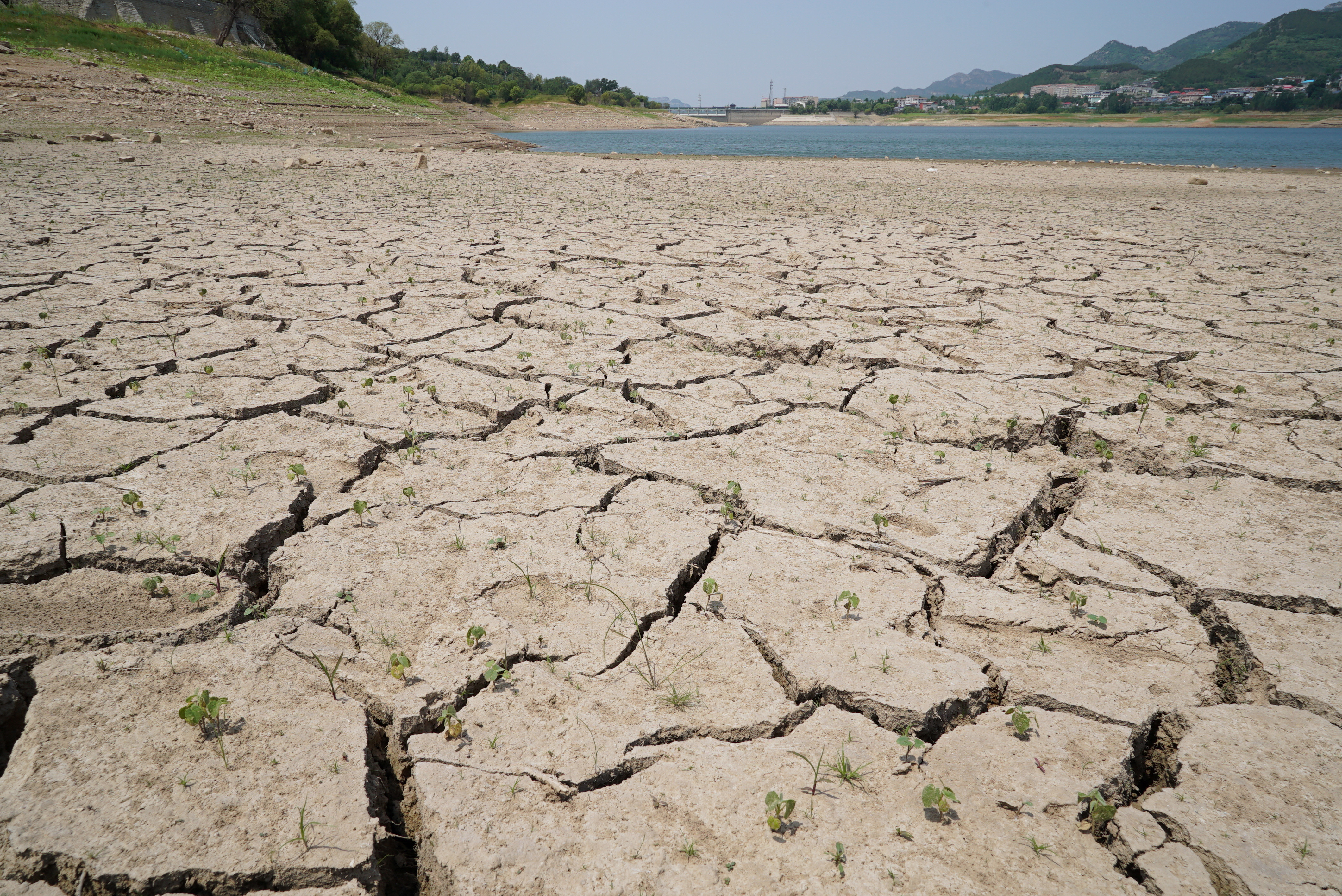 Heatwave and drought in Jinan