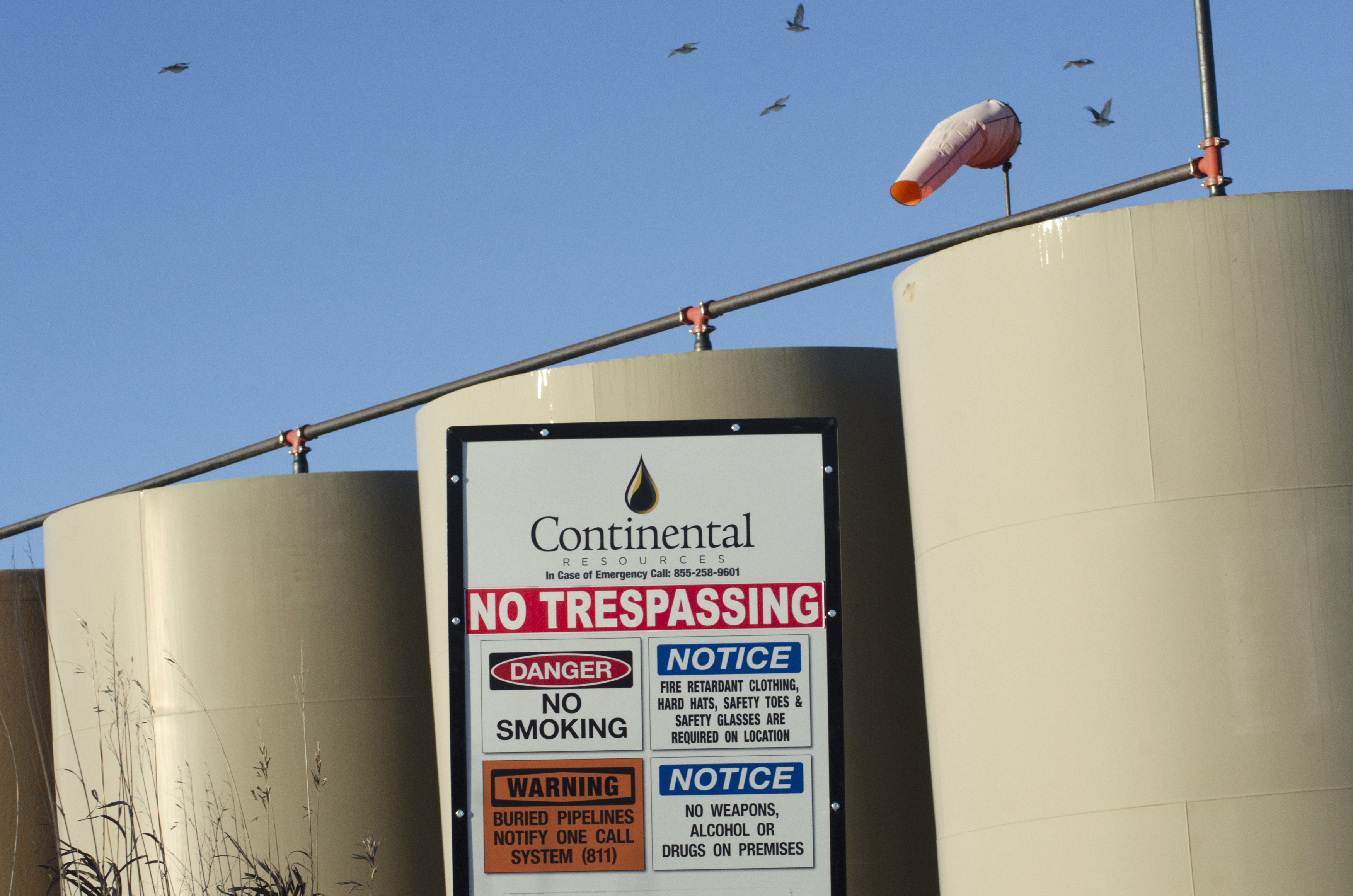 Birds fly over storage tanks on a Continental Resources oil production site near Williston, North Dakota January 23, 2015.  REUTERS/Andrew Cullen  