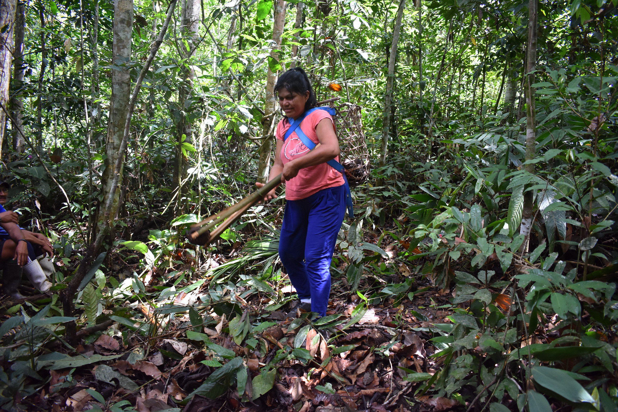 Indigenous communities helping sustainably manage and patrol rainforest threatened by gold mining and illegal logging