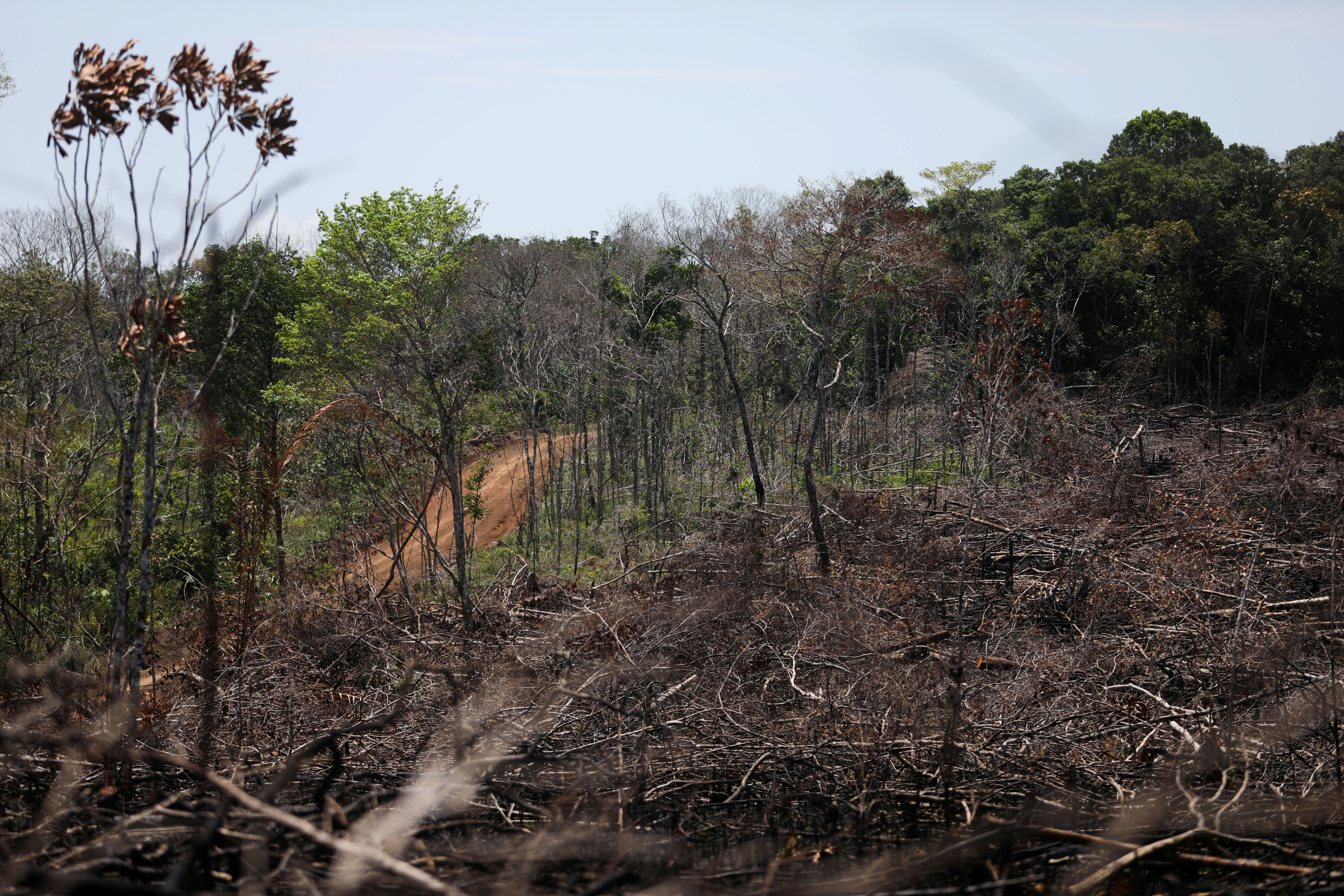 View of a deforested area in the middle of the Yari plains, in Caqueta