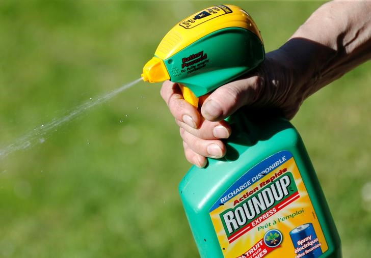 A man uses a Monsanto's Roundup weedkiller spray containing glyphosate in a garden in Bordeaux