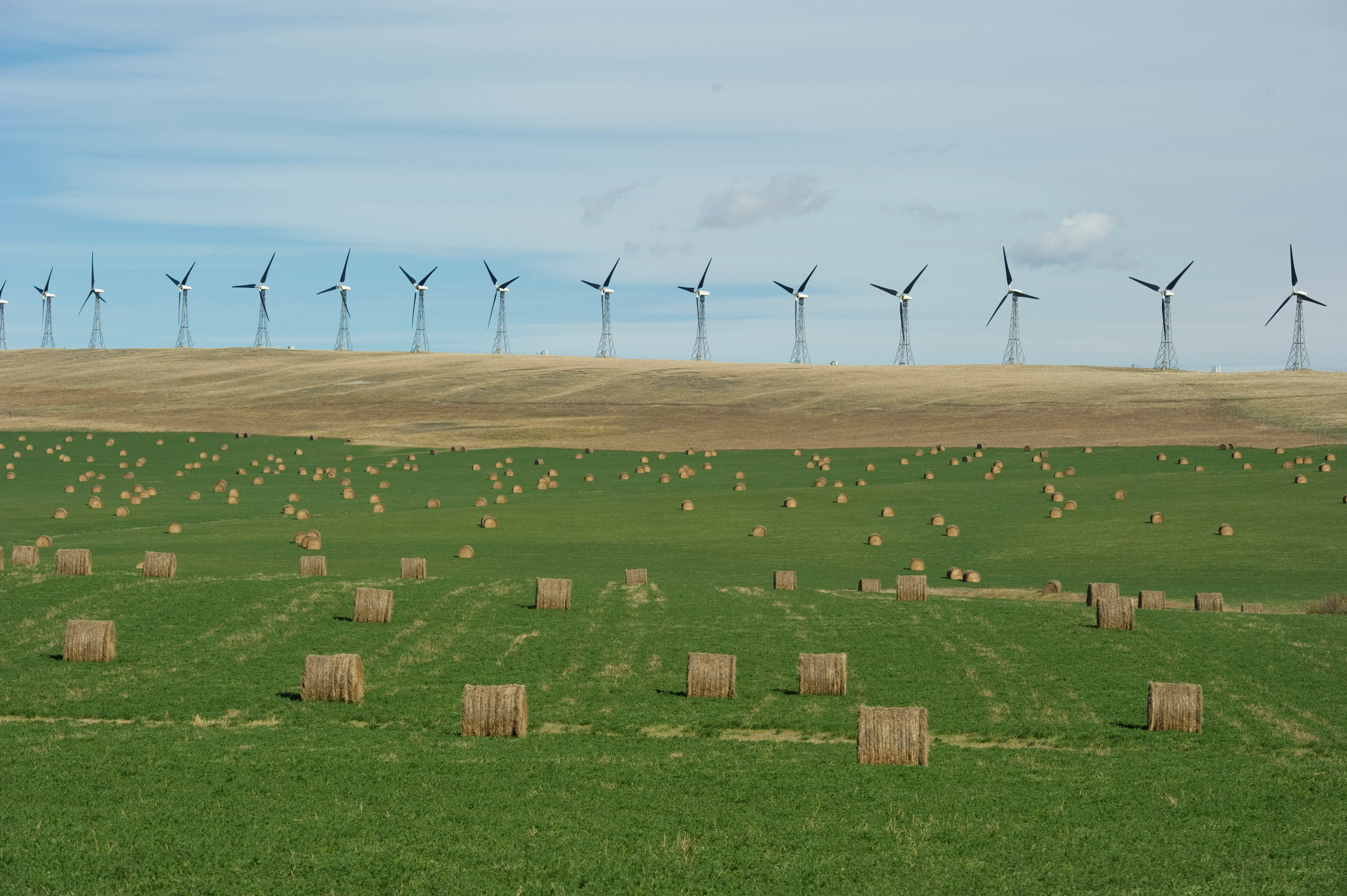 A wind farm generates electricity near bales of hay in the foothills of the Rocky Mountains