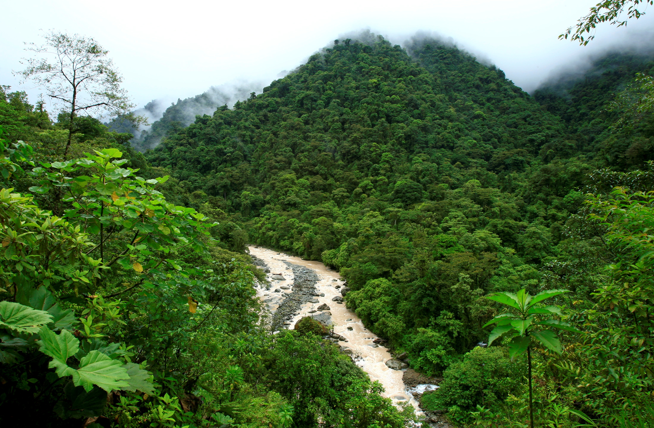 Costa Rica eyes permanent ban on fossil fuel exploration and