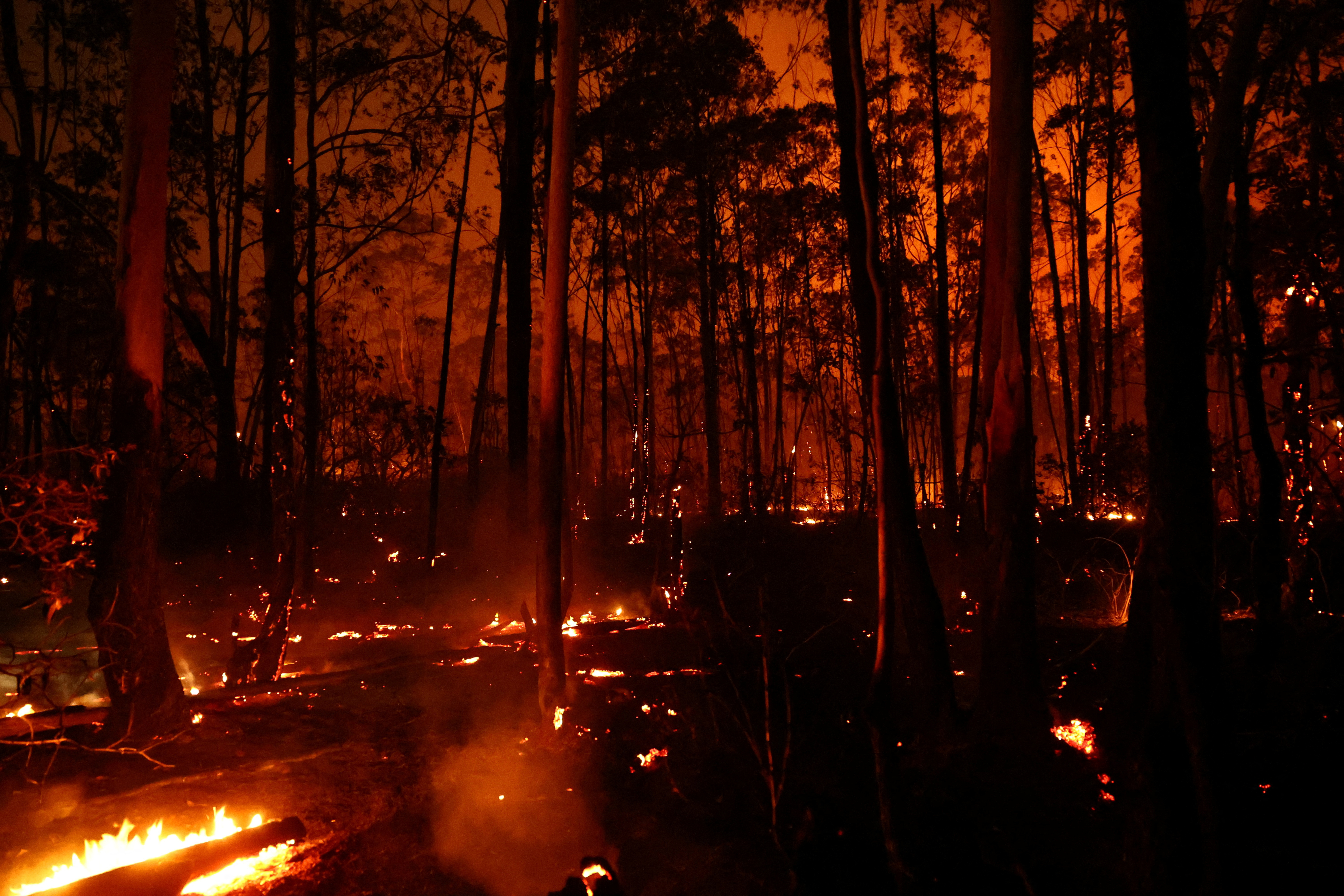 Wildfires in an area of Brasilia's National Forest