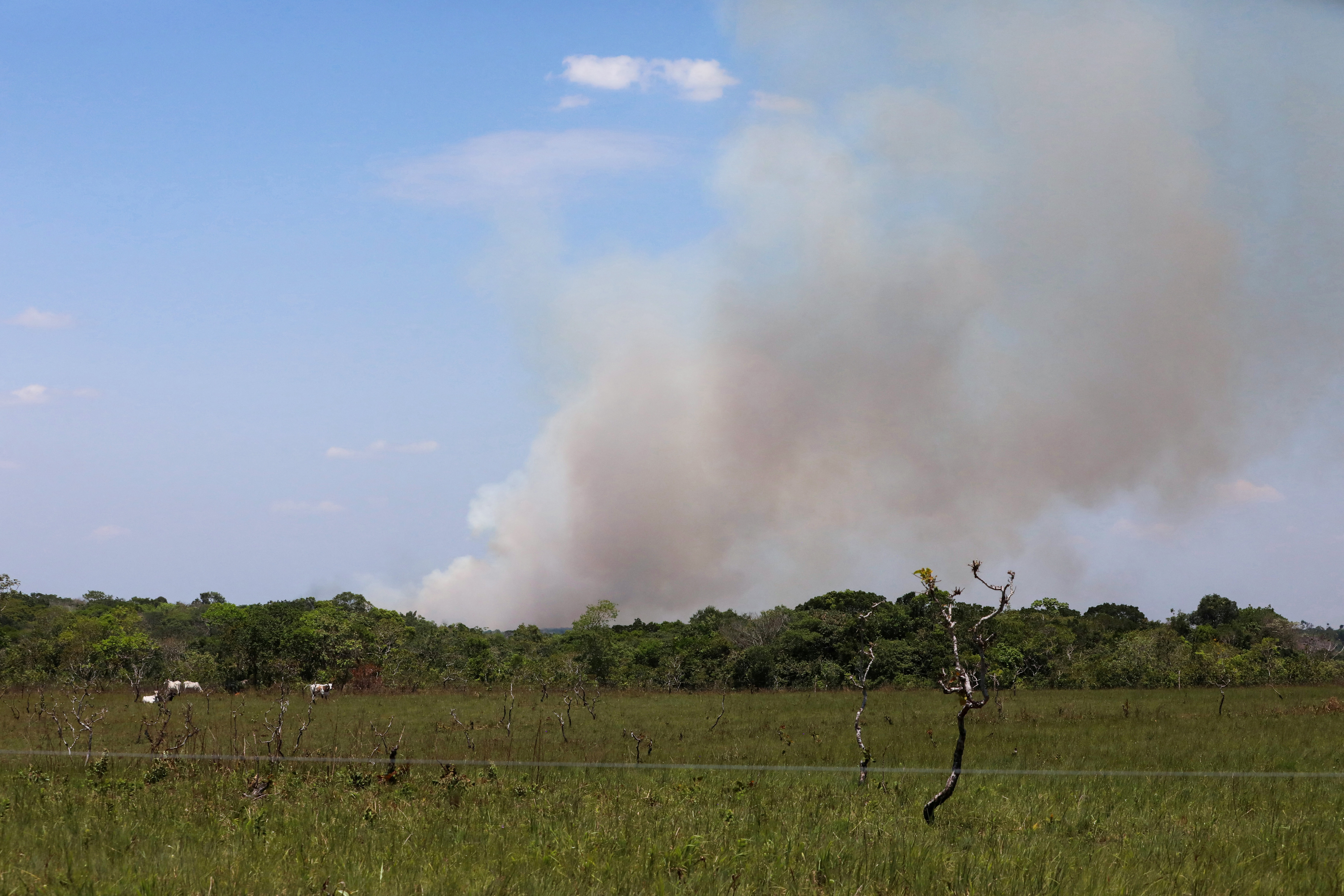 A general view shows smoke rising over a deforested plot of land in the Yari plains, in Caqueta
