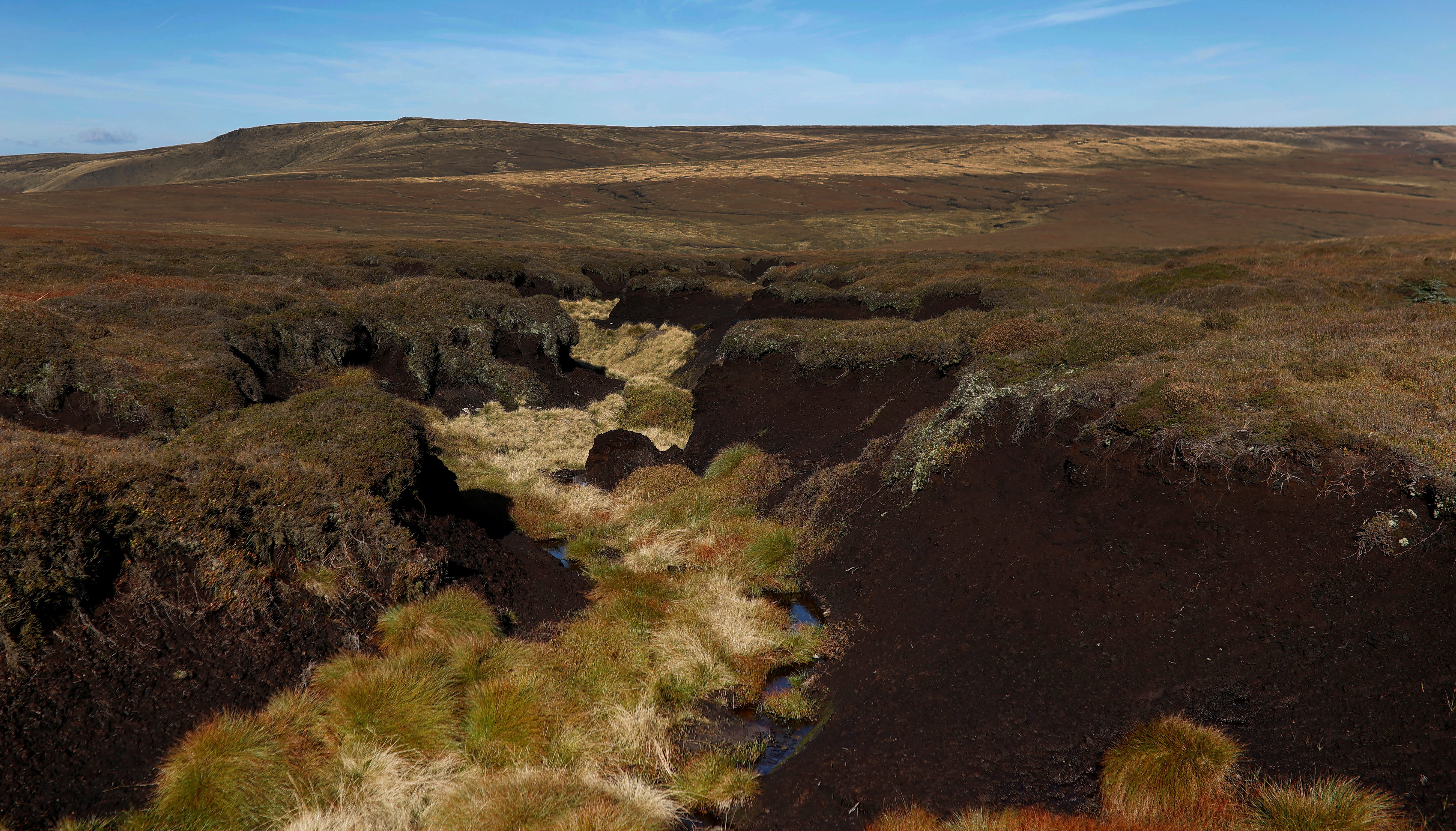 Exposed layers of Peat are seen in a gulley on Black Ashop moor near Glossop