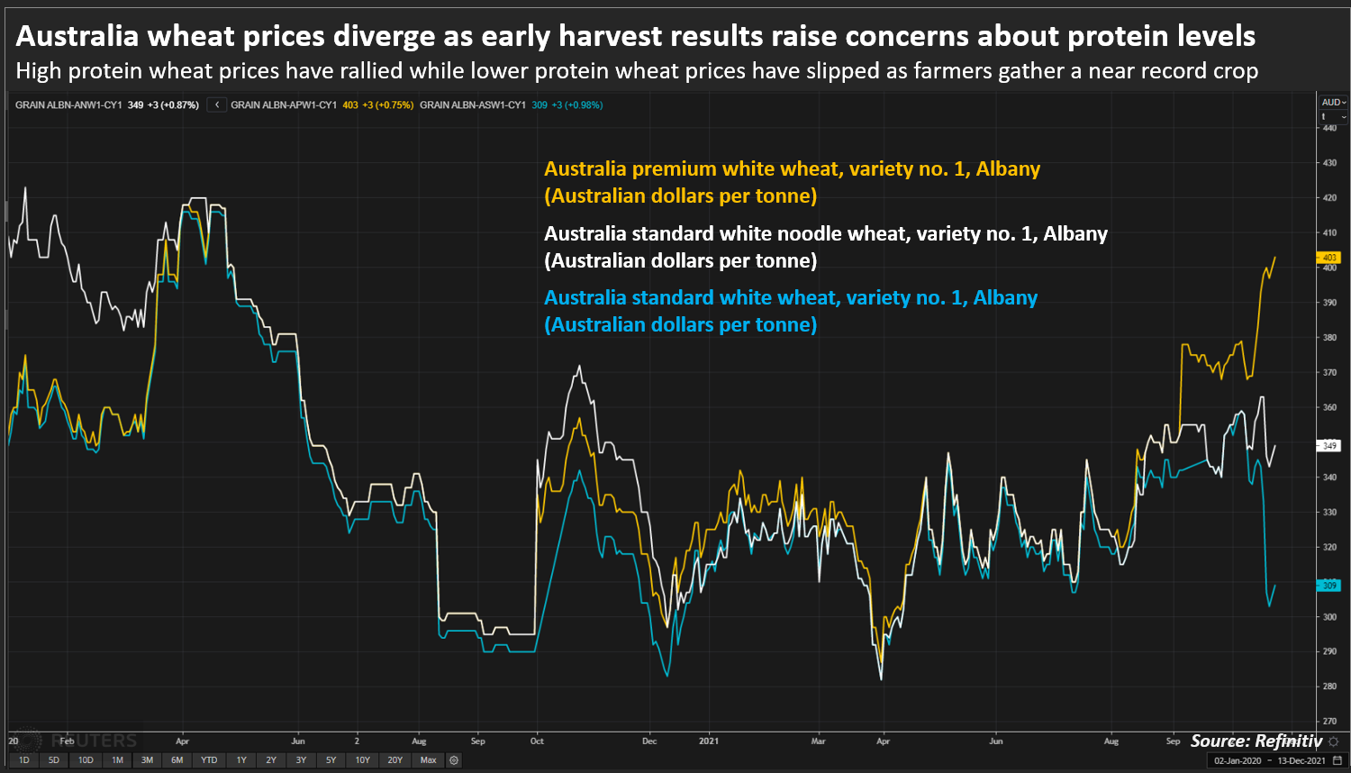Australia wheat prices diverge as early harvest results raise concerns about protein levels
