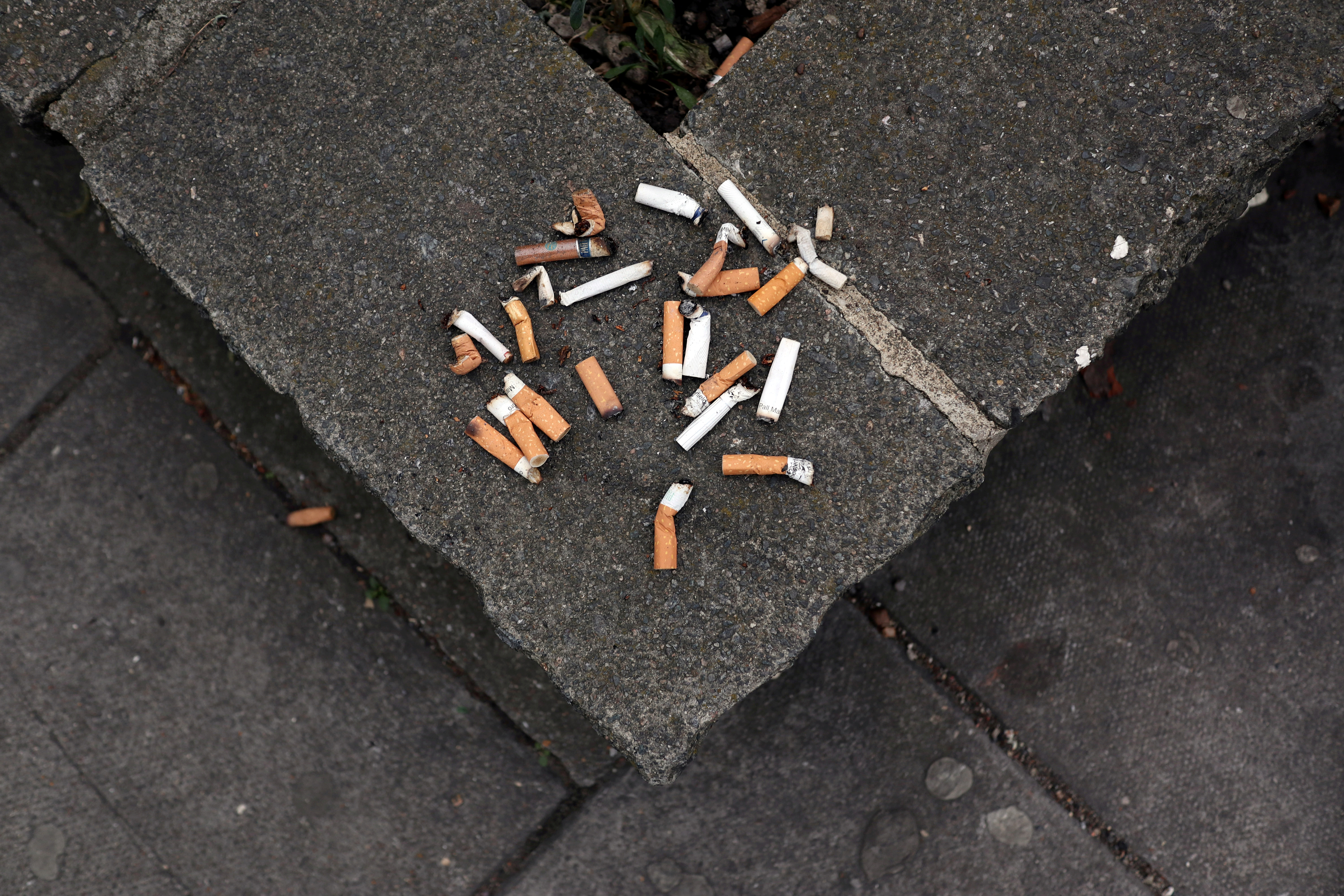 apply tobacco license nsw Reminder: NSW Tobacco Licensing - Apply by 1 October 2025
