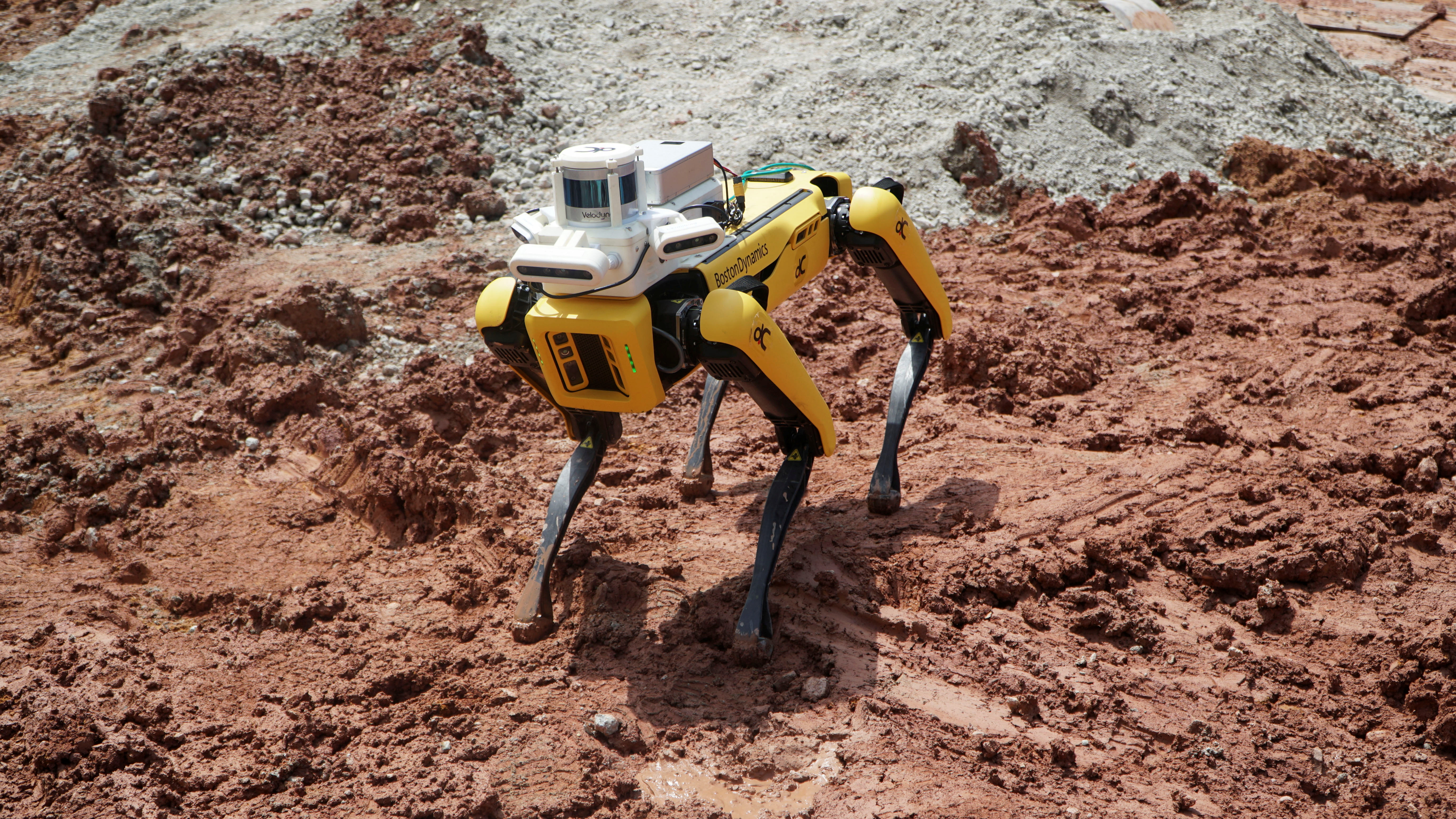 Робот-собака, созданная компанией Boston Dynamics, принадлежащей Hyundai, используется компанией Gammon Construction Ltd для сканирования строительной площадки, чтобы руководители могли проверить ход работ на острове Сентоза.