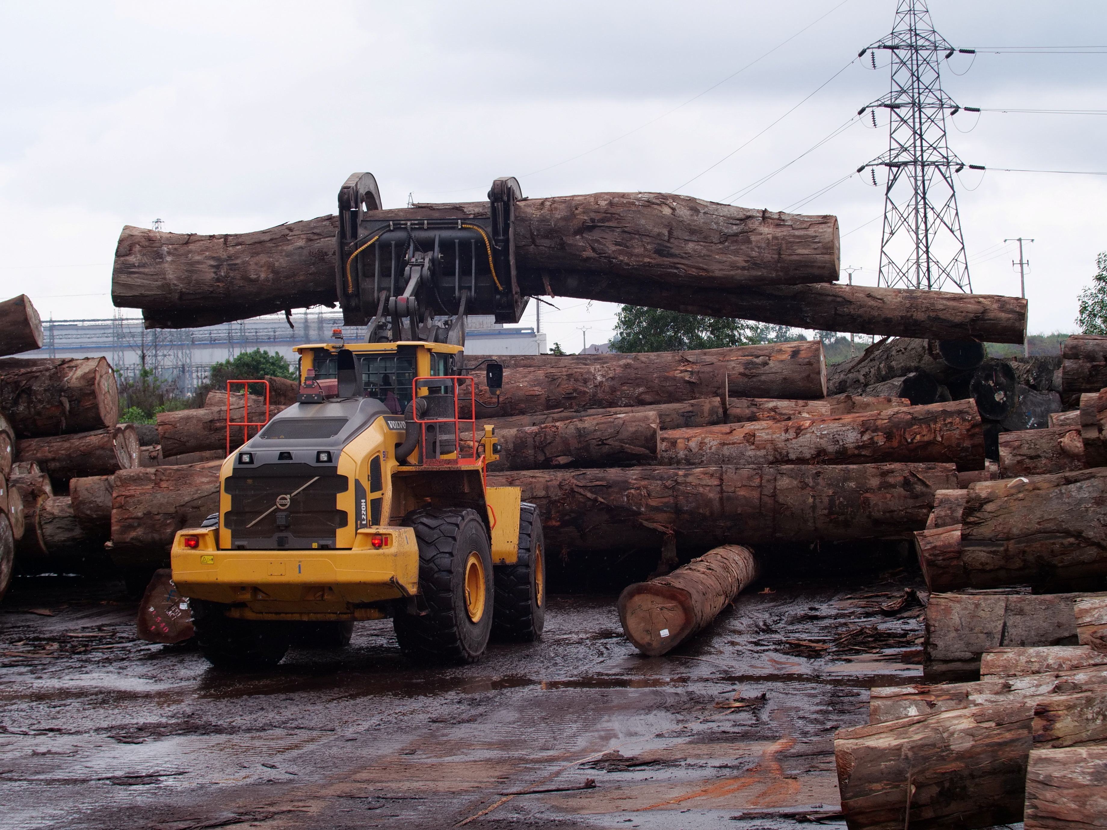 Stock bulldozer moves a log in Gabon's Special Economic Zone log park, in Nkok, Gabon, October 12, 2021. REUTERS/Christophe Van Der Perre