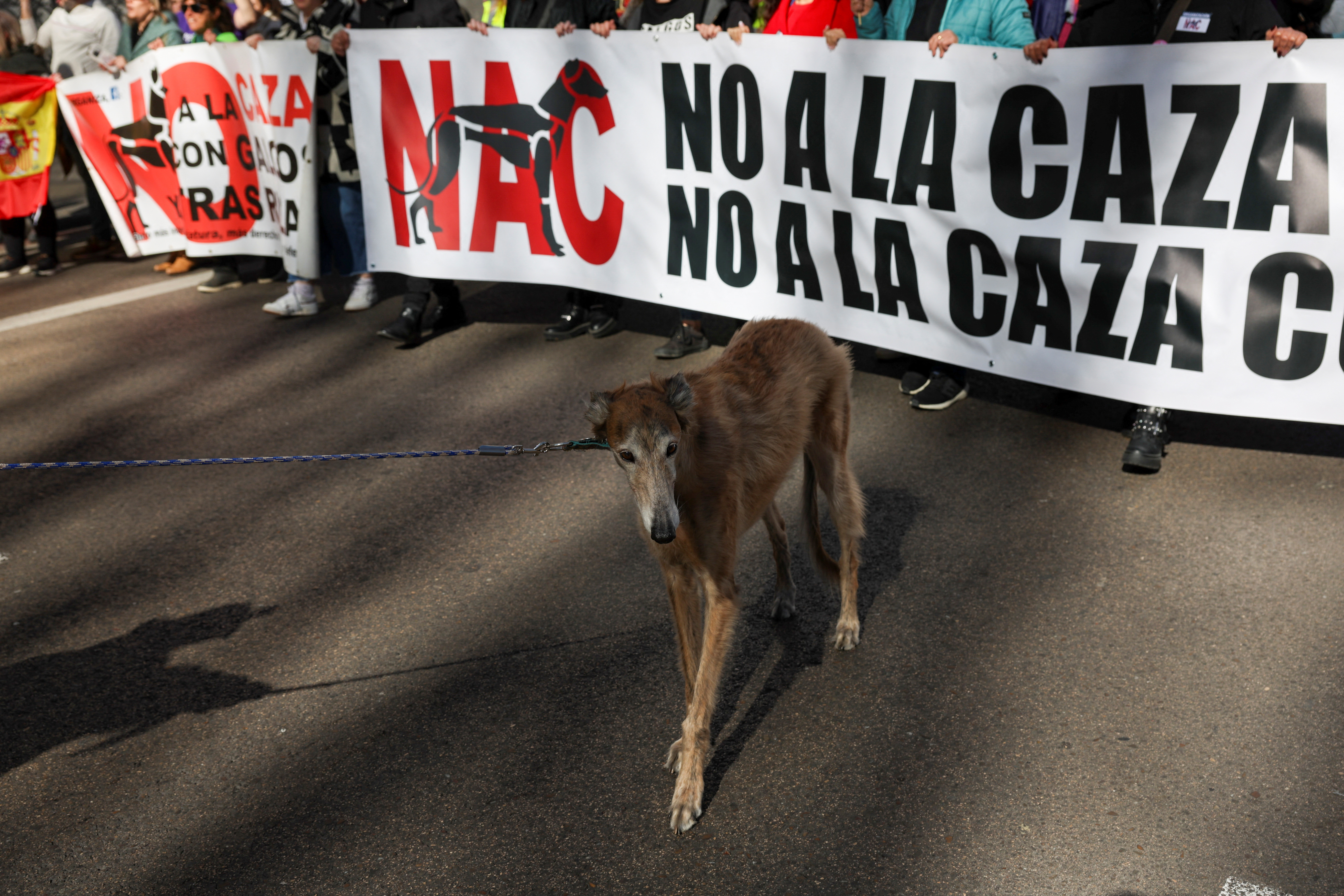 Protest against hunting in Spain