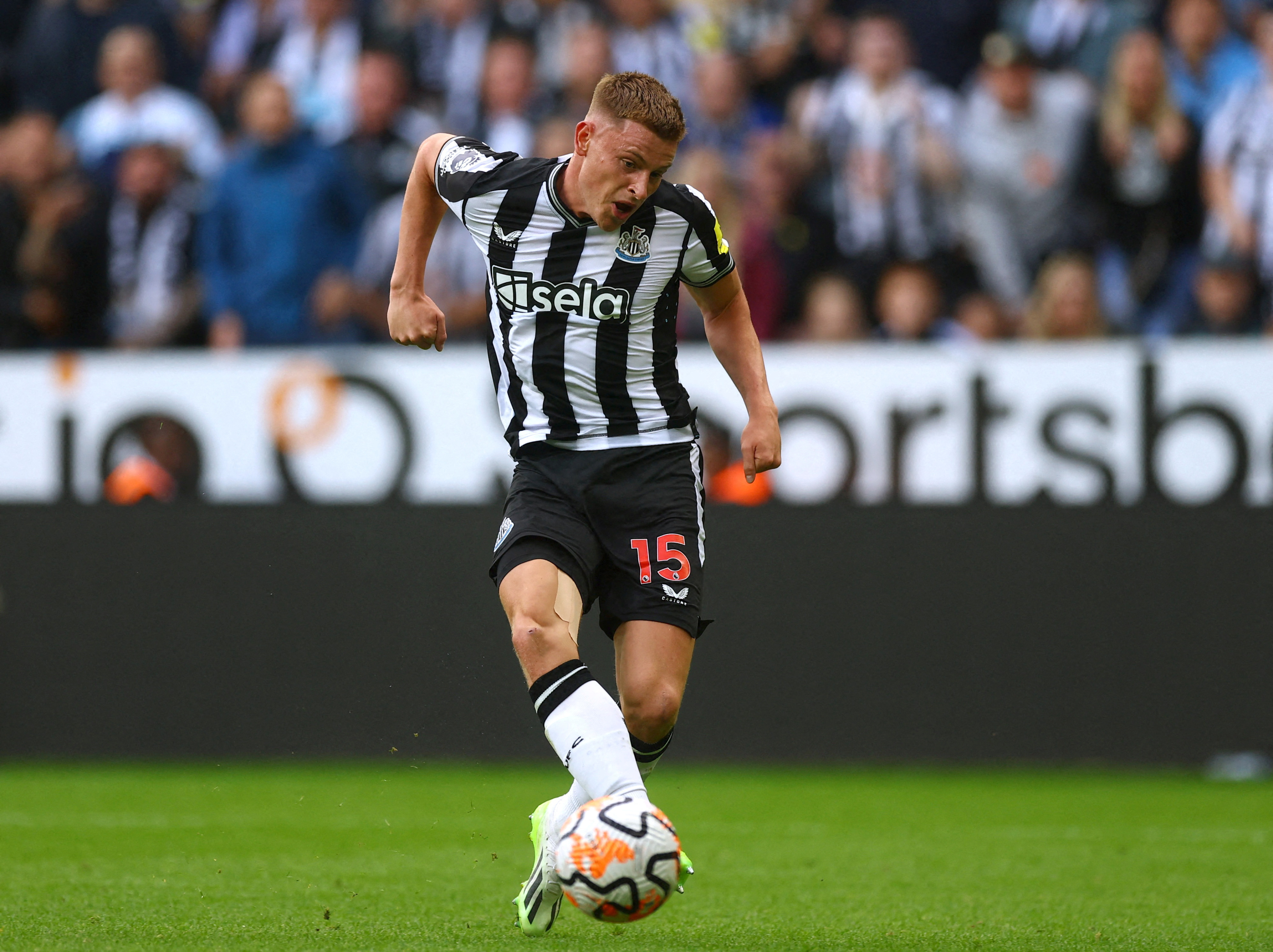 Injured Barnes sidelined for three months, says Newcastle boss
