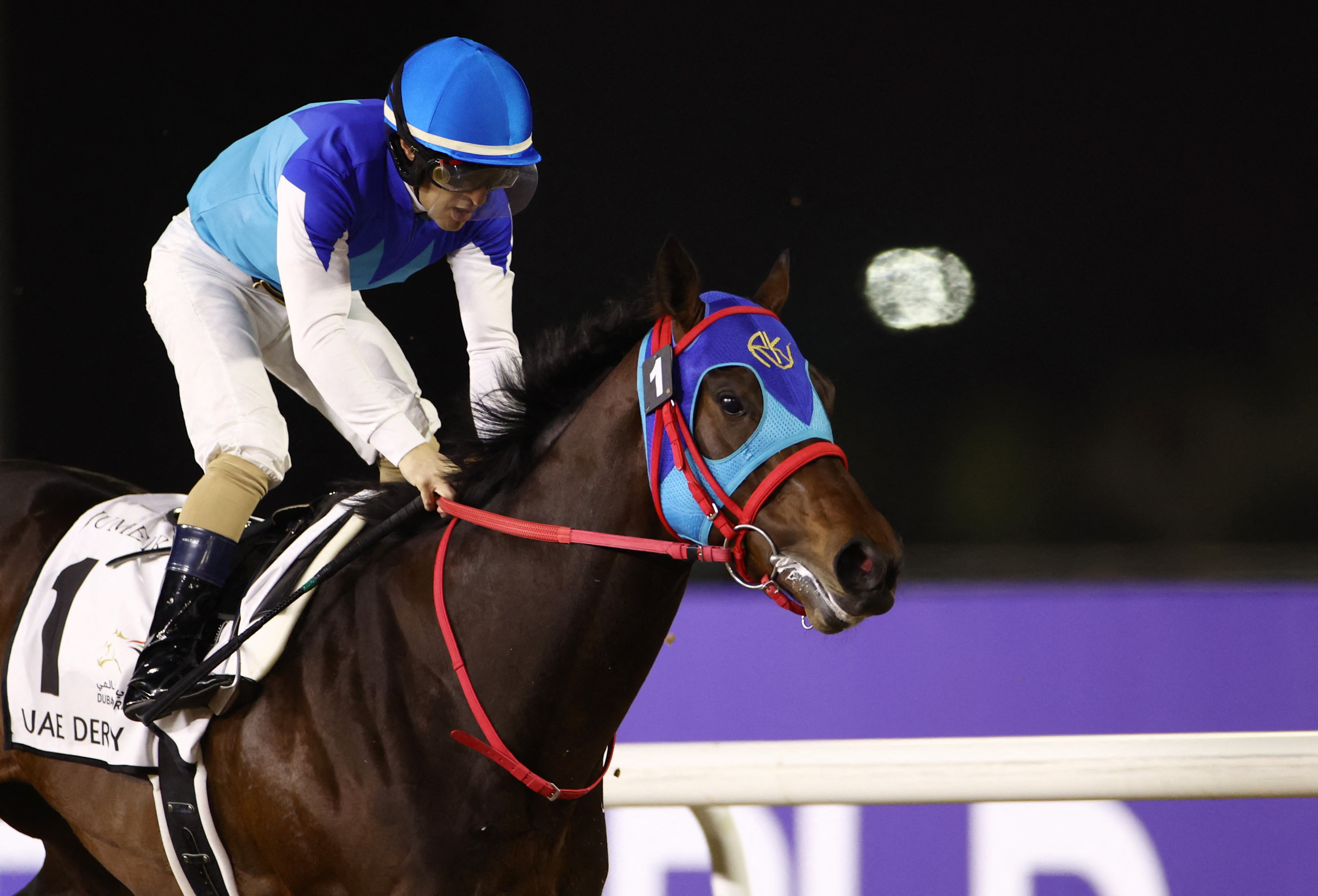 Japan's Derby hopefuls chasing history, flash in final prep | Reuters