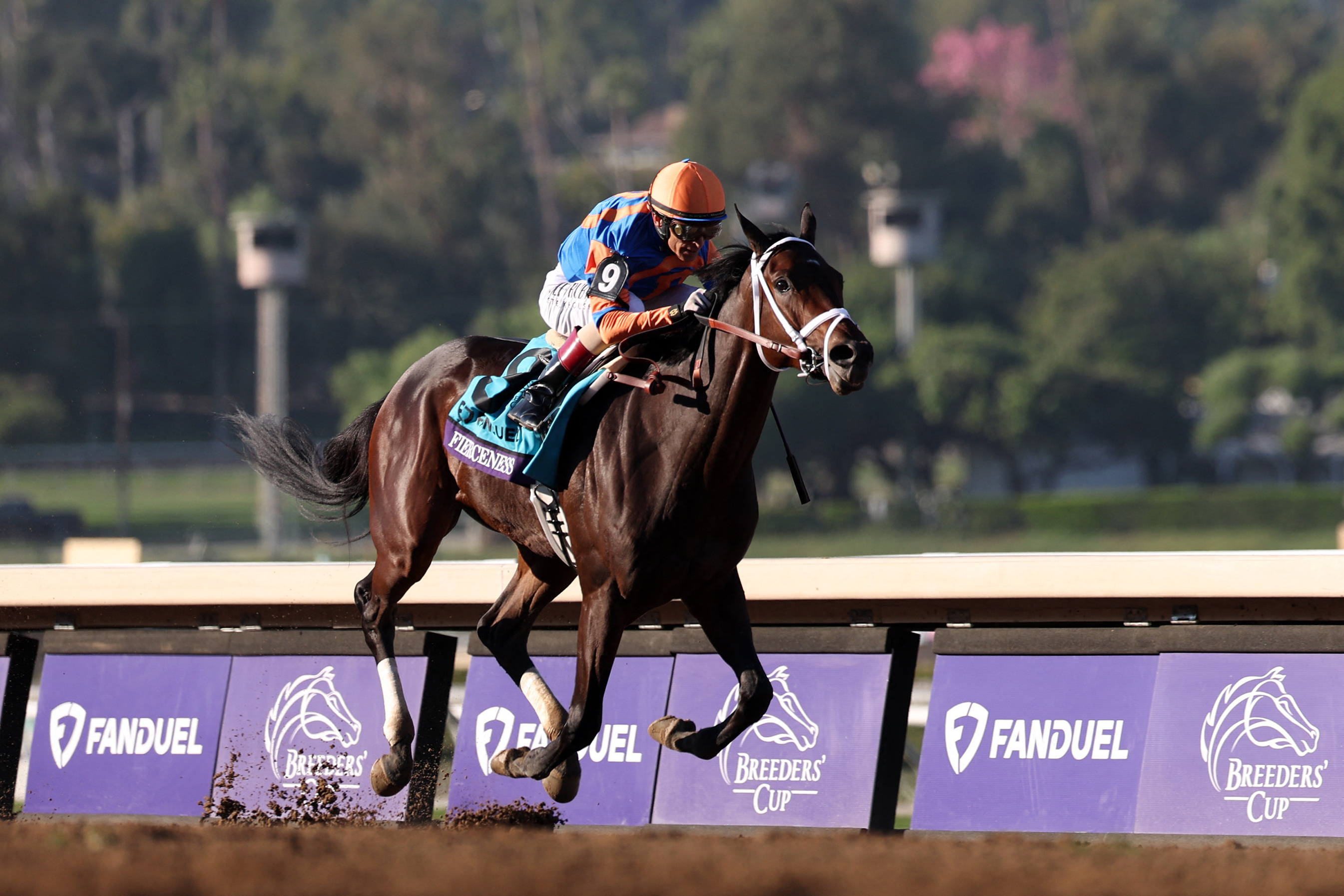 Horse Racing-Fierceness The Favorite For 150th Kentucky Derby | Reuters