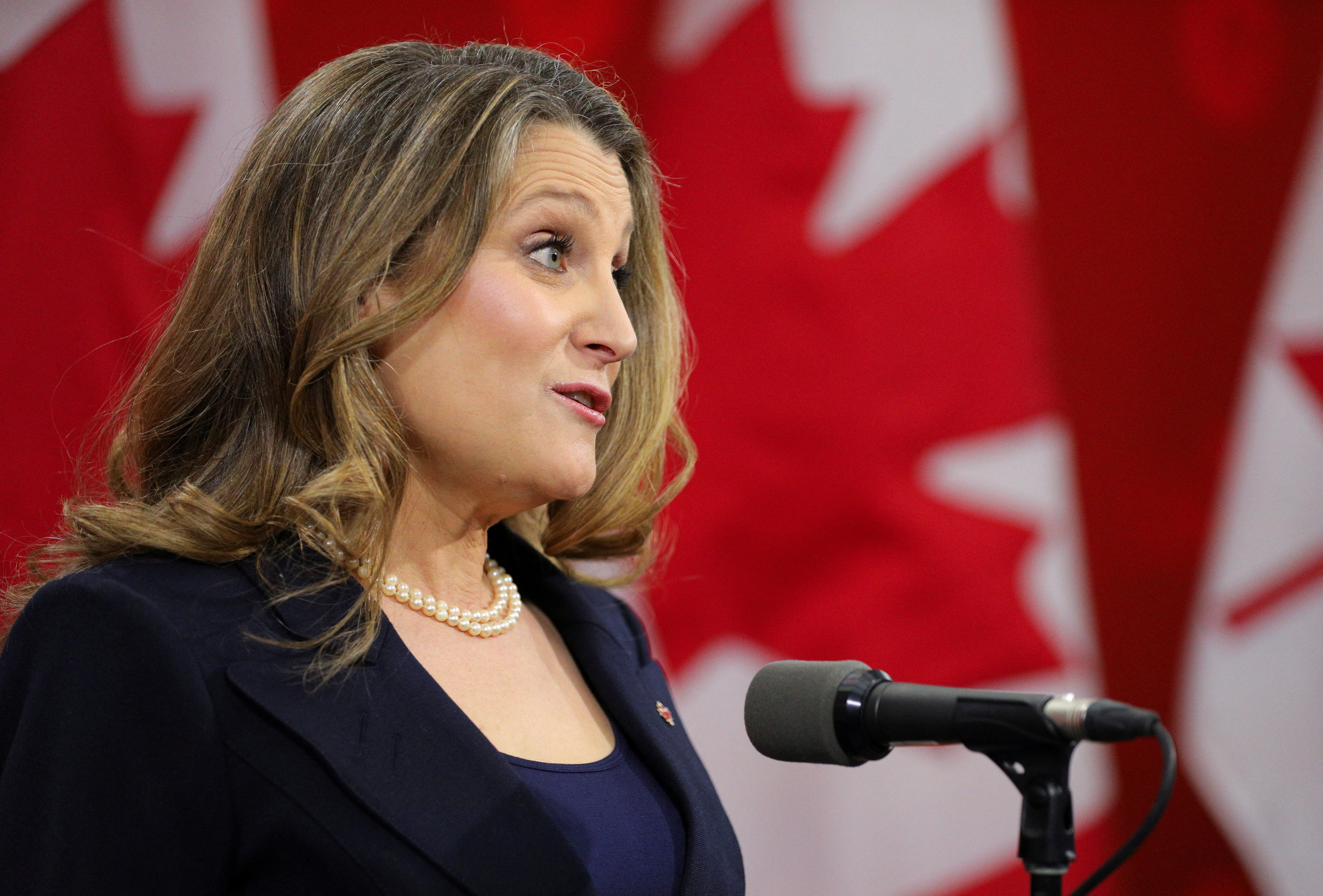 Ukraine's Zelenskiy appoints Canadian ex-deputy PM as economic adviser |  Reuters