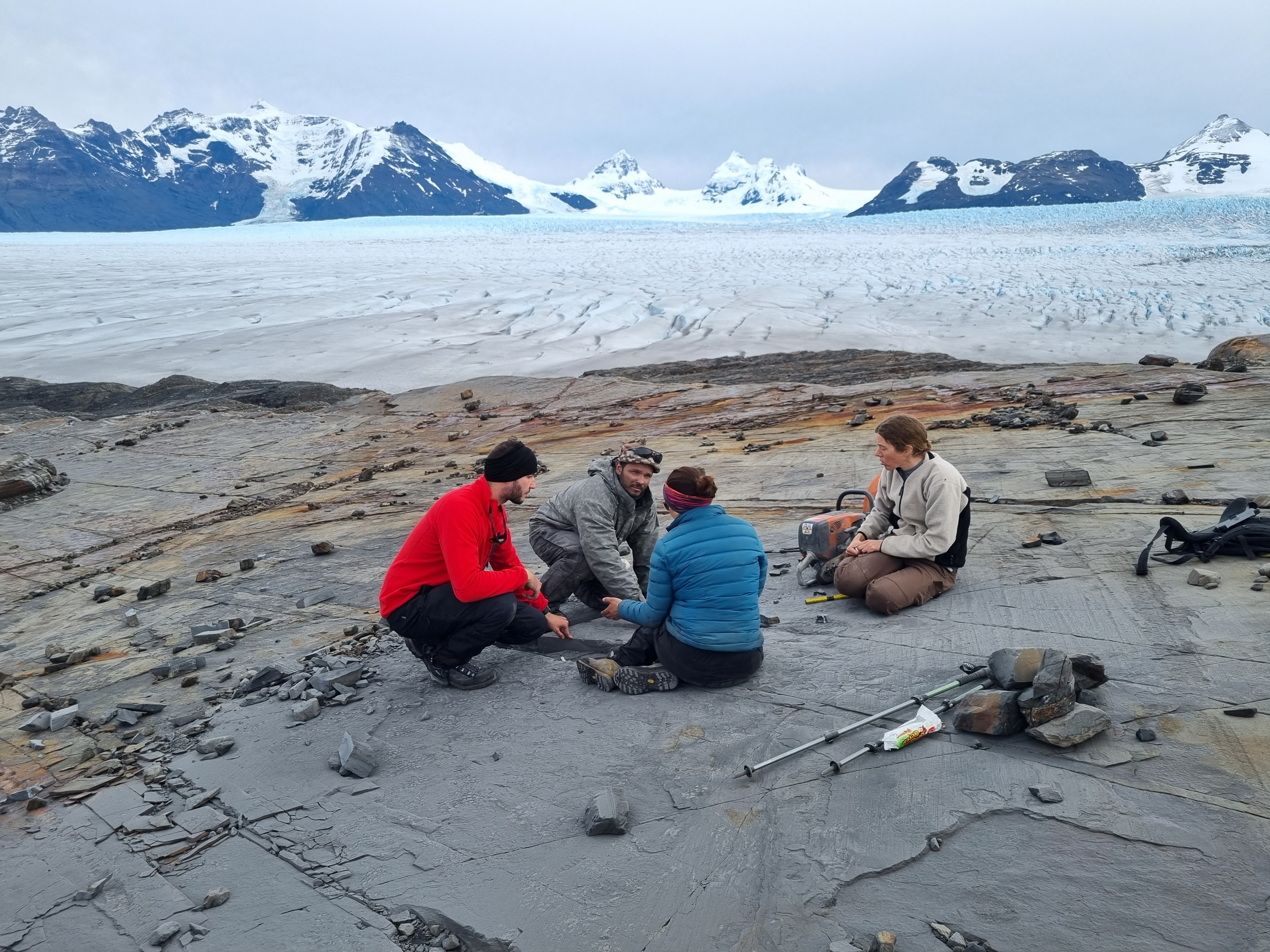 Paleontologists of the GAIA Antarctic Research Center of the University of Magallanes, recover the first fossil of a four-meter Ichthyosaur at Tyndall Glacier area in the Chilean Patagonia, Magallanes
