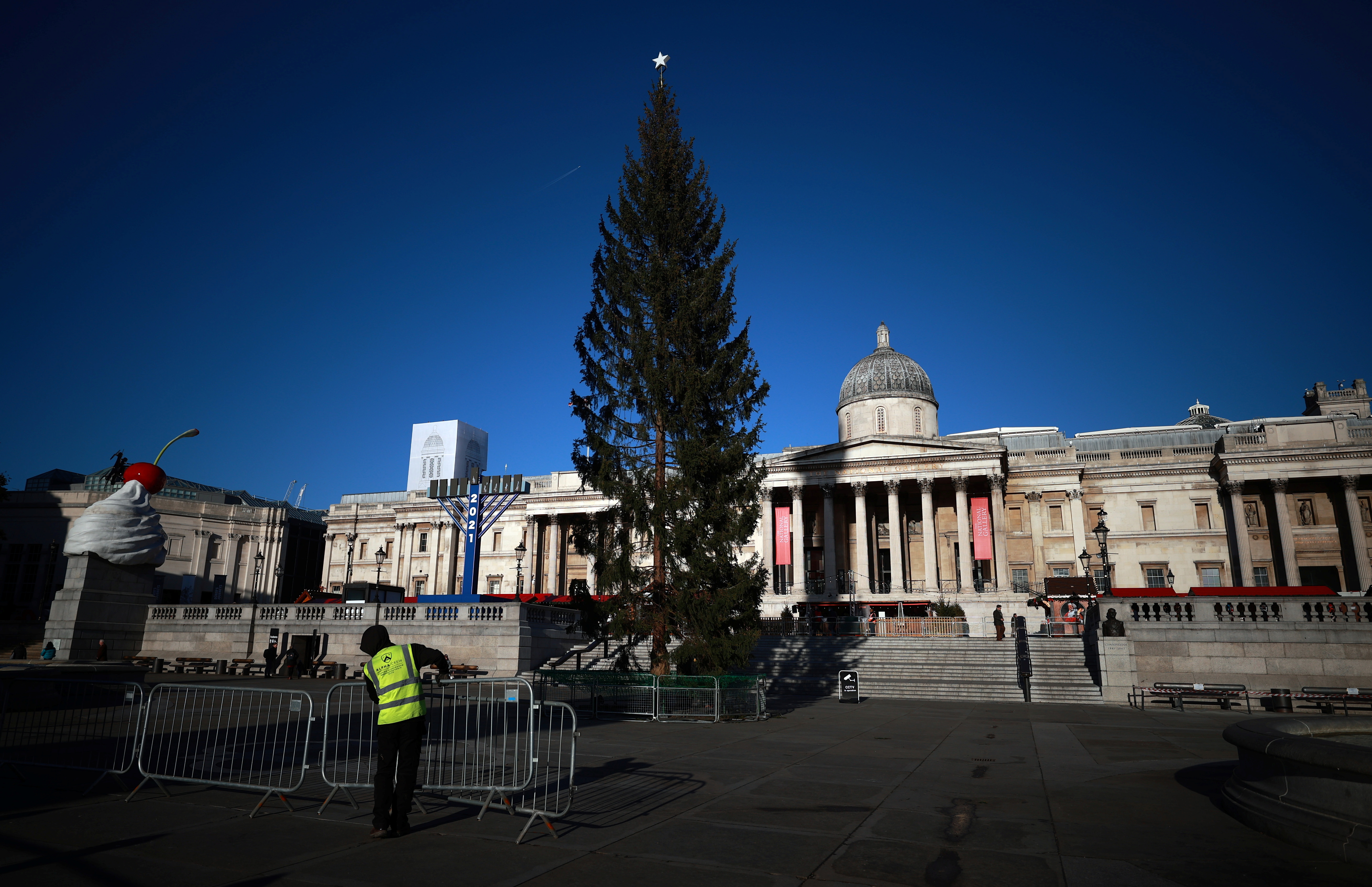 A view of the Trafalgar Square Christmas tree in London