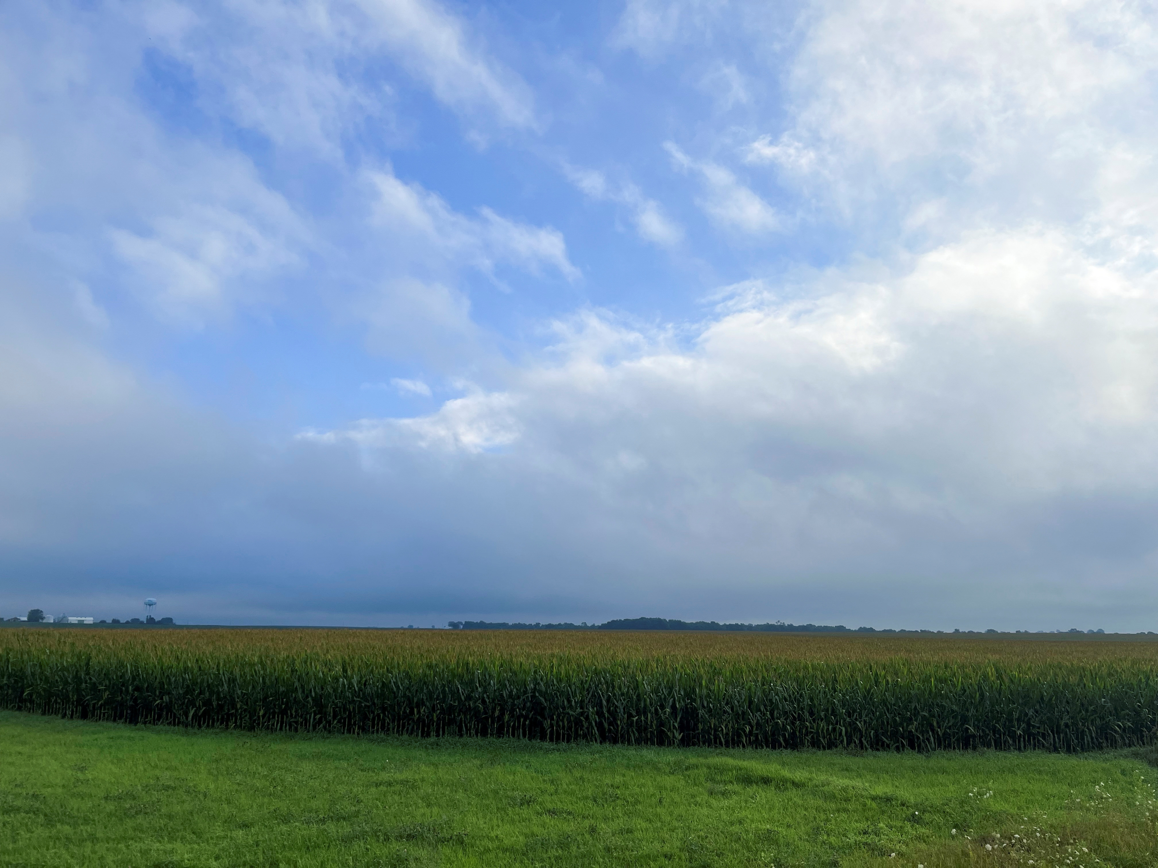 Una vista general de los campos de maíz cerca de West Point, Iowa