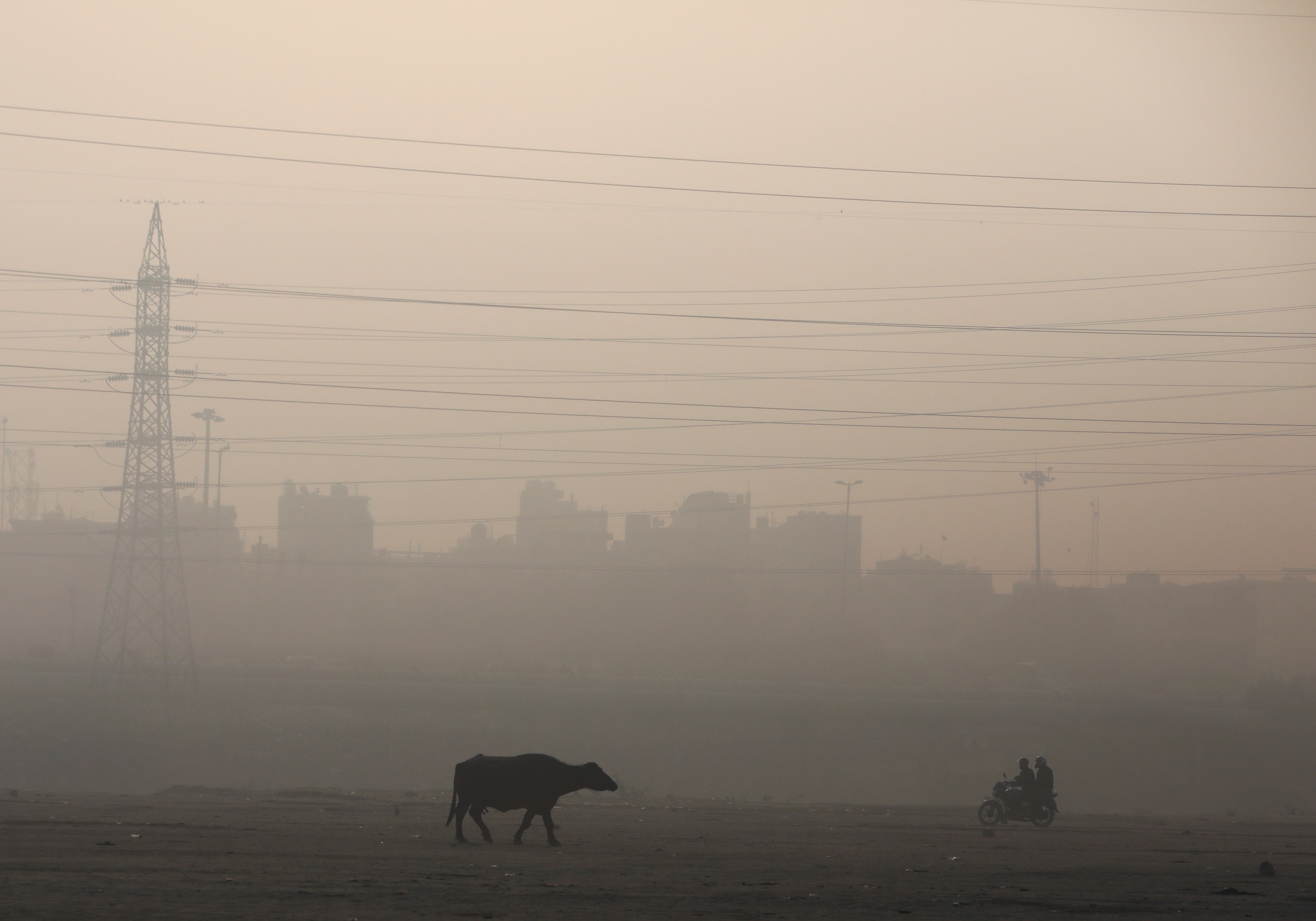 A motorbike rides on the floodplains of the Yamuna river on a smoggy morning in New Delhi