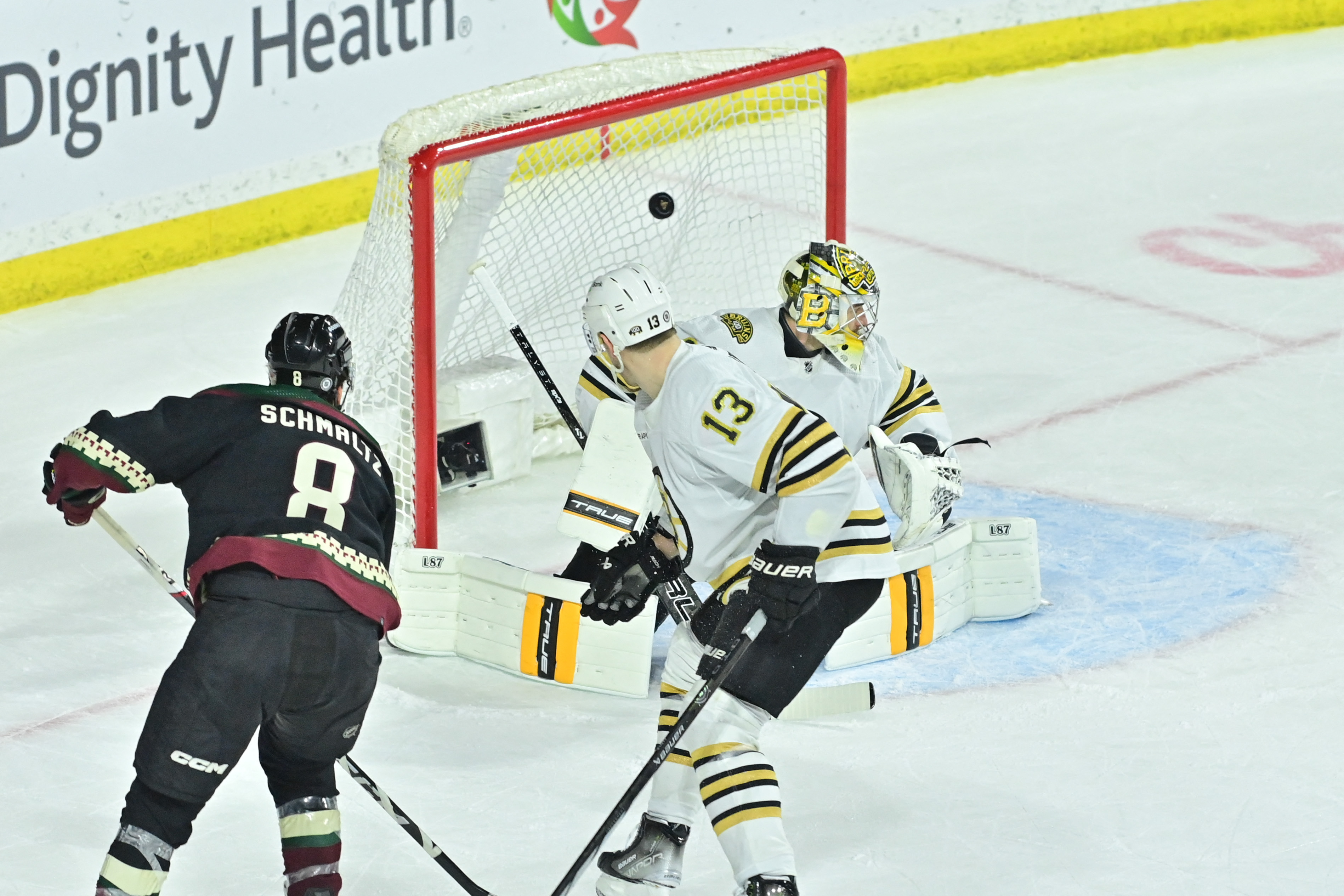 Coyotes Edge Bruins In OT To End Three-game Skid | Reuters