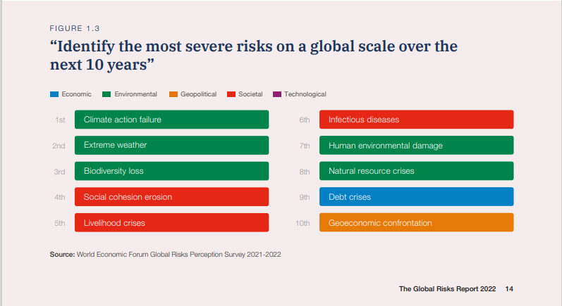 World Economic Forum chart on Top 10 global risks