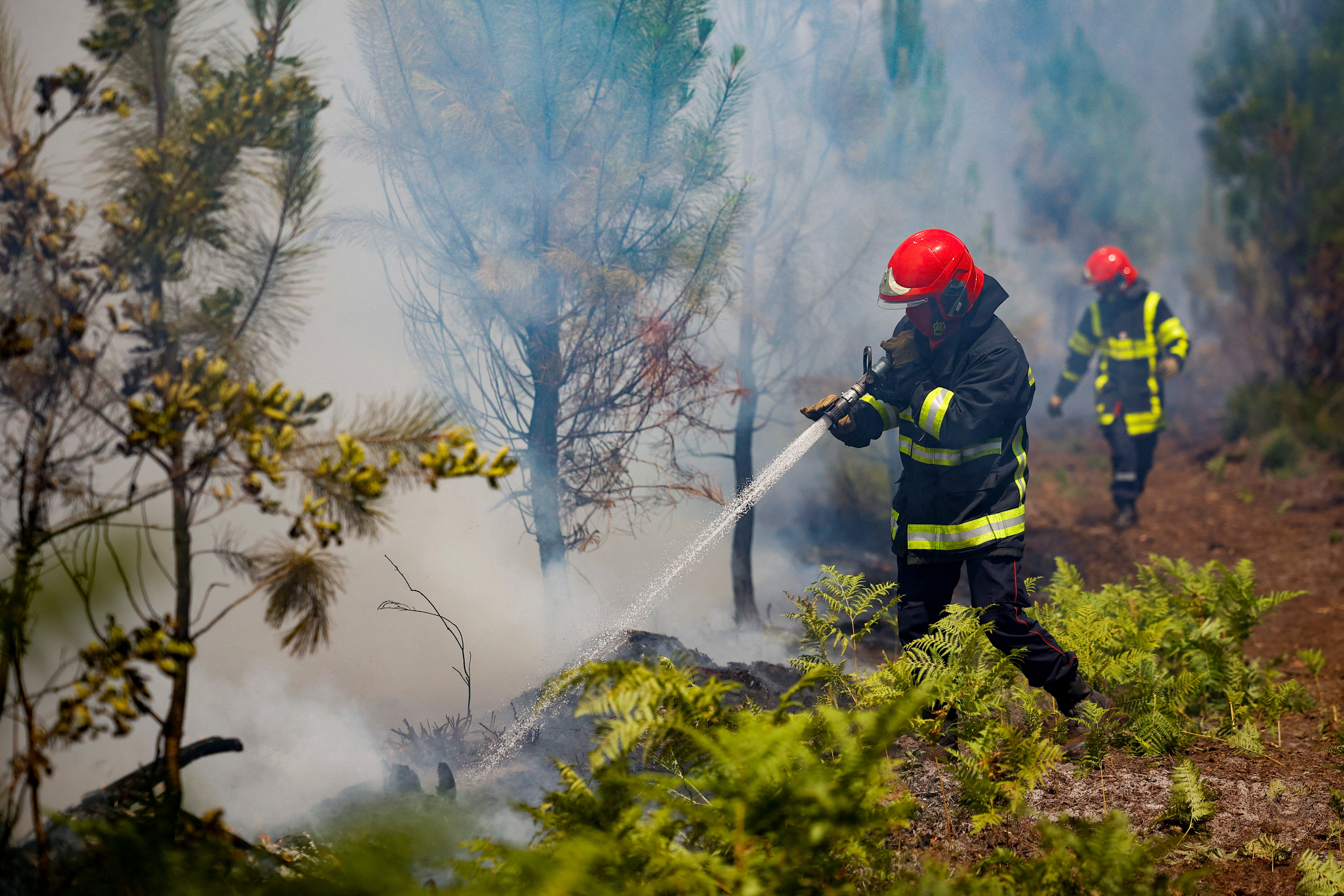 Wildfires in southwestern France
