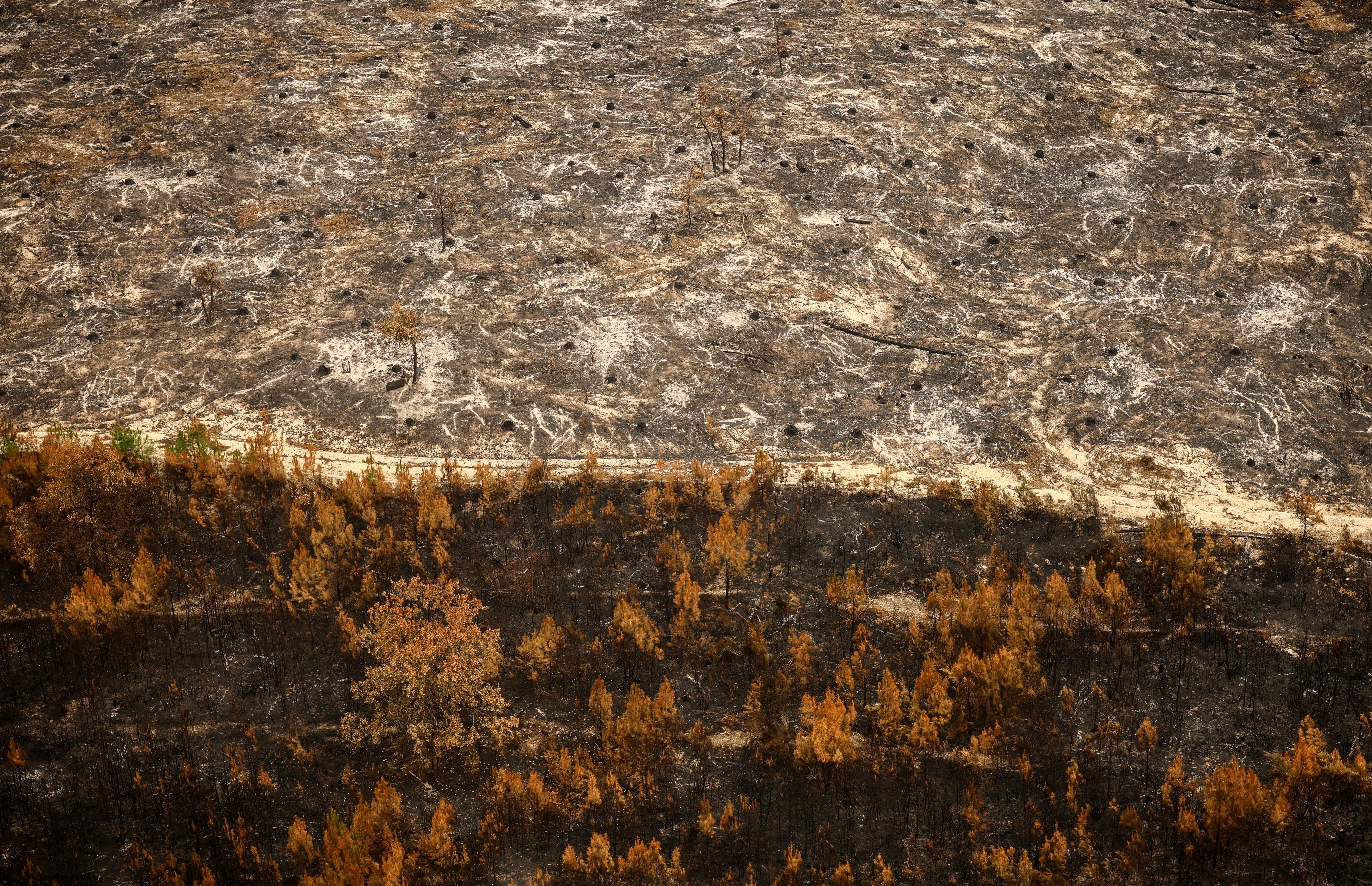 Aerial photos show devastation of Europe's wildfires from above