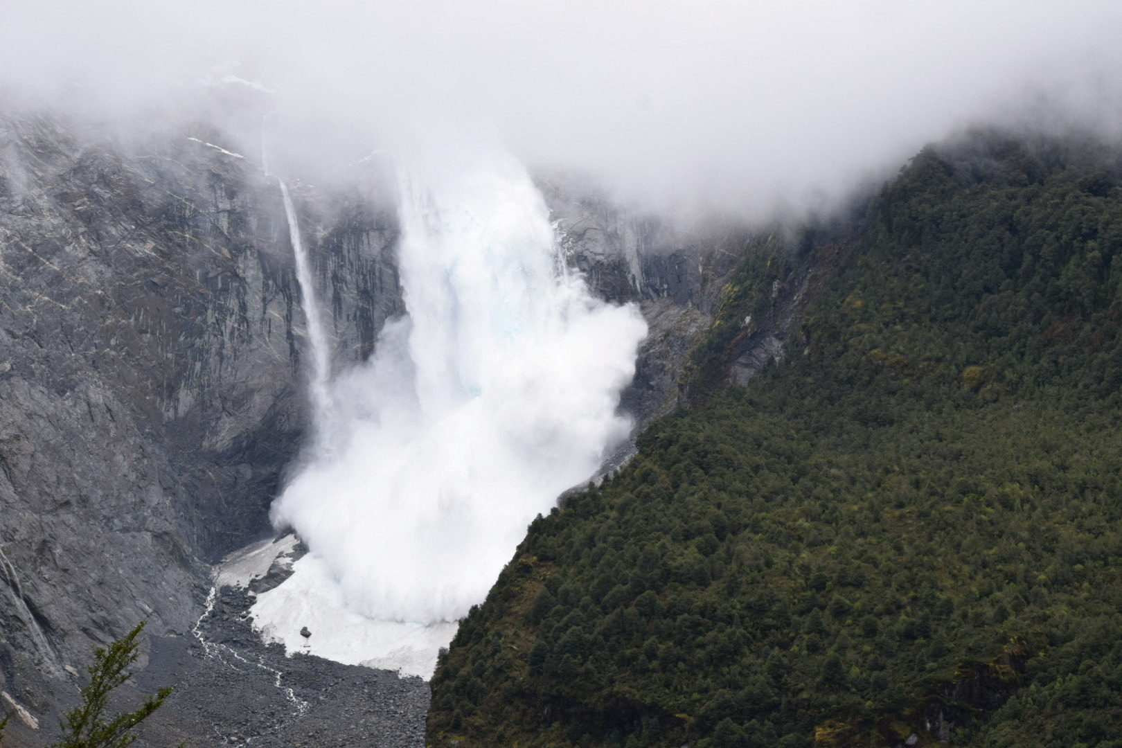 glaciere electrique - Profil Nature