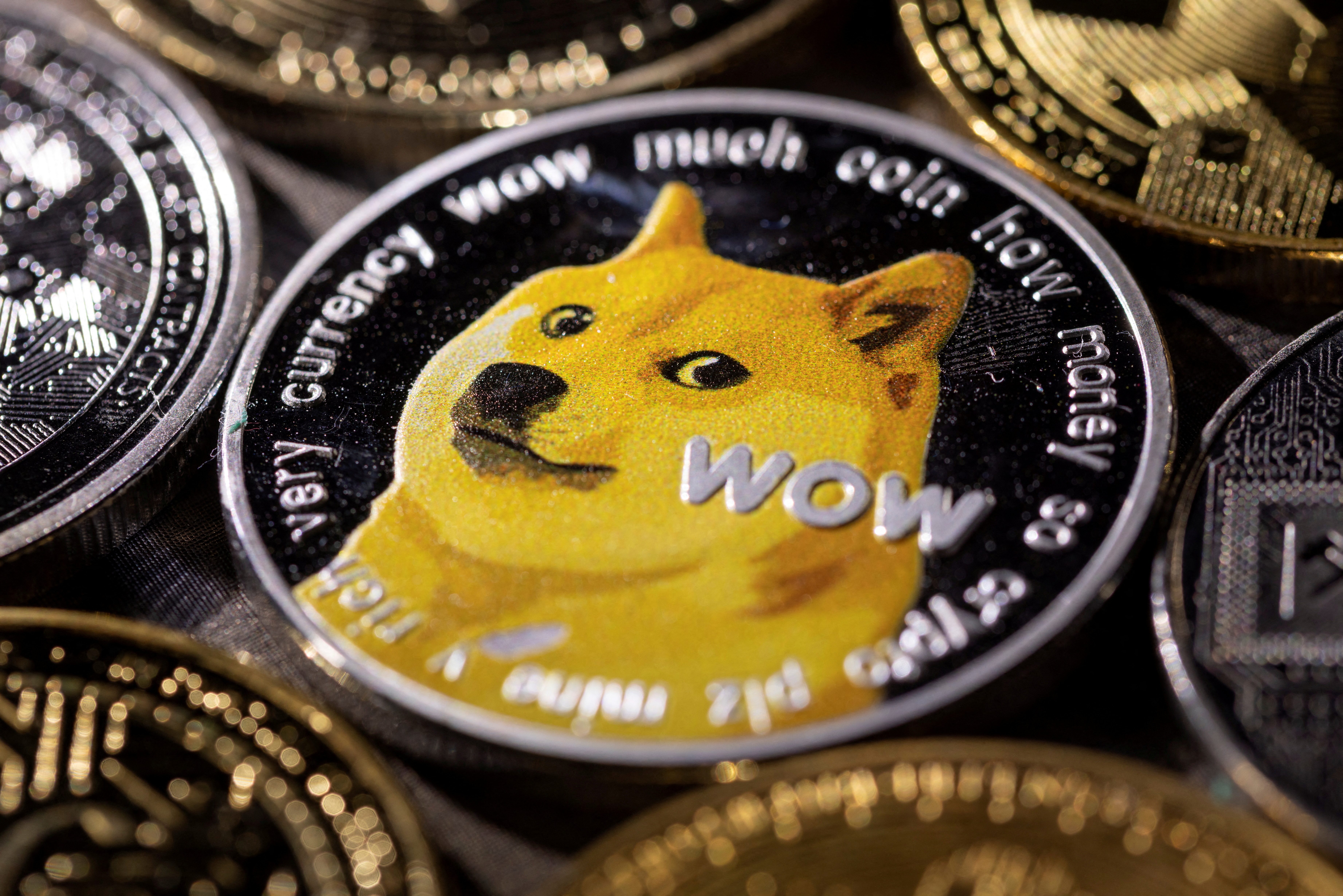 Representation of cryptocurrency Dogecoin is seen in this illustration taken November 29, 2021. REUTERS/Dado Ruvic/Illustration/File Photo