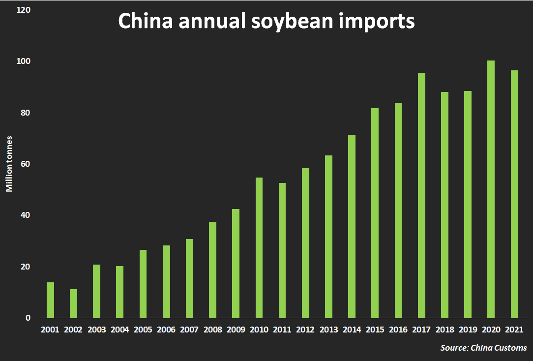 China annual soybean imports