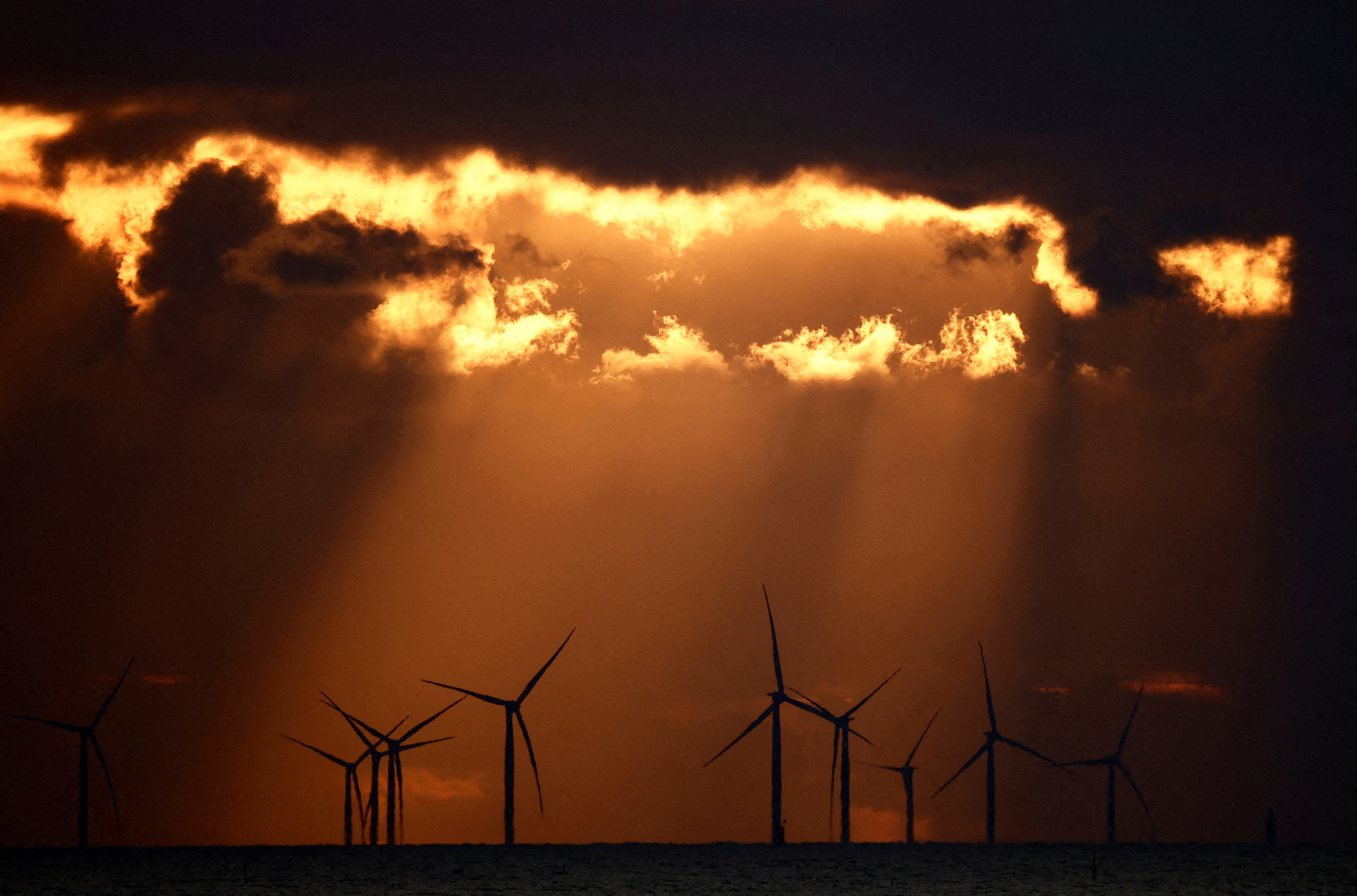 Wind power industry in moment of reckoning as stocks fall