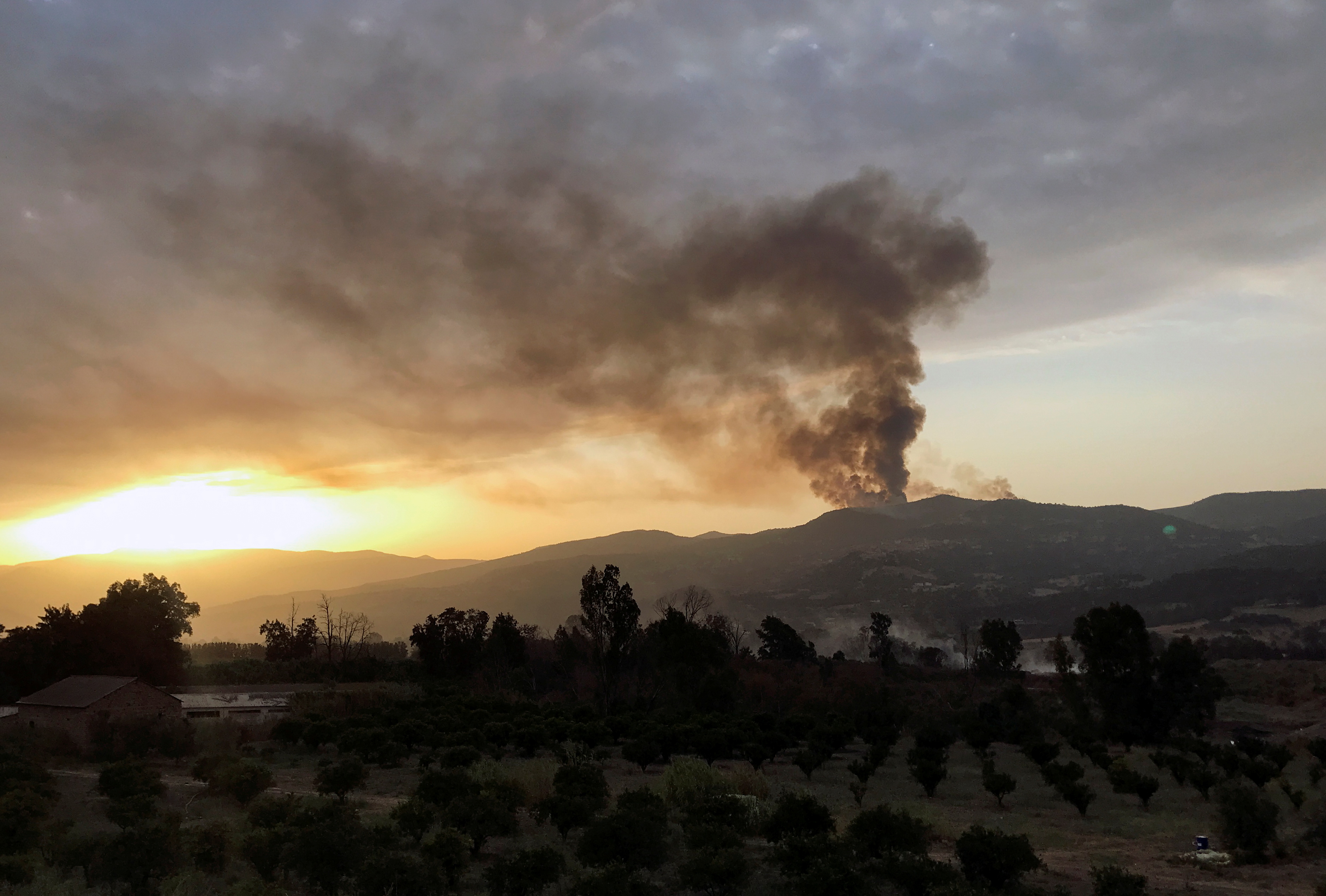 Smoke rises following a wildfire in Bejaia province