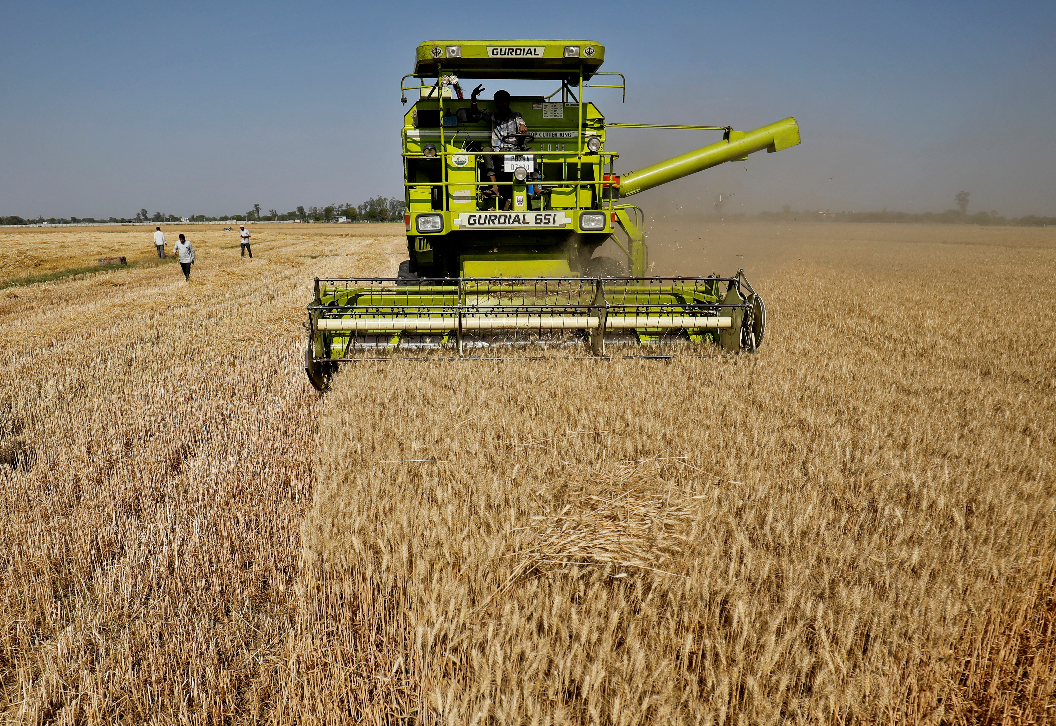 A Gurdial combine harvests wheat at a field on the outskirts of Ahmedabad