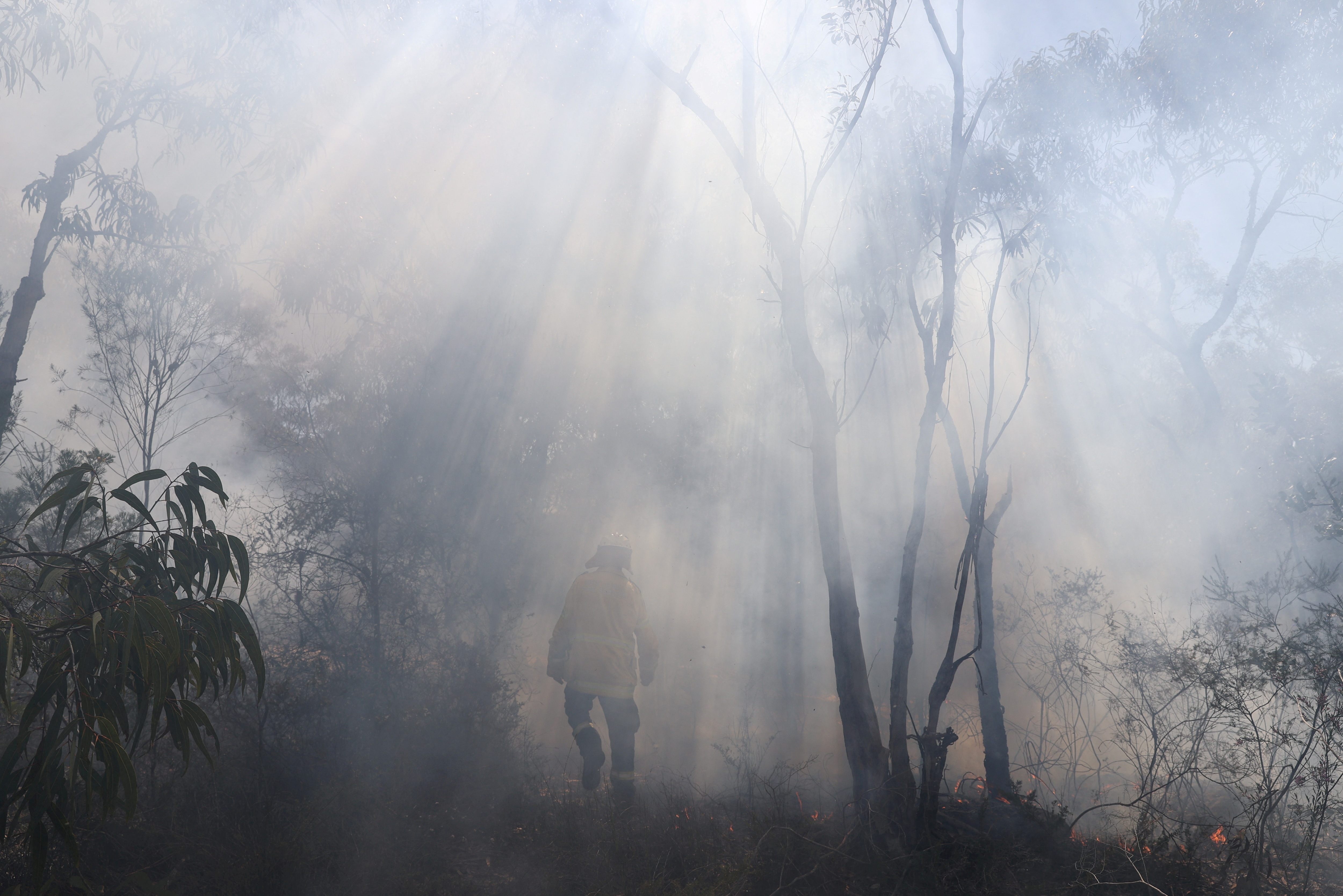 NSW RFS personnel conduct a controlled burn to eliminate fuels in Sydney