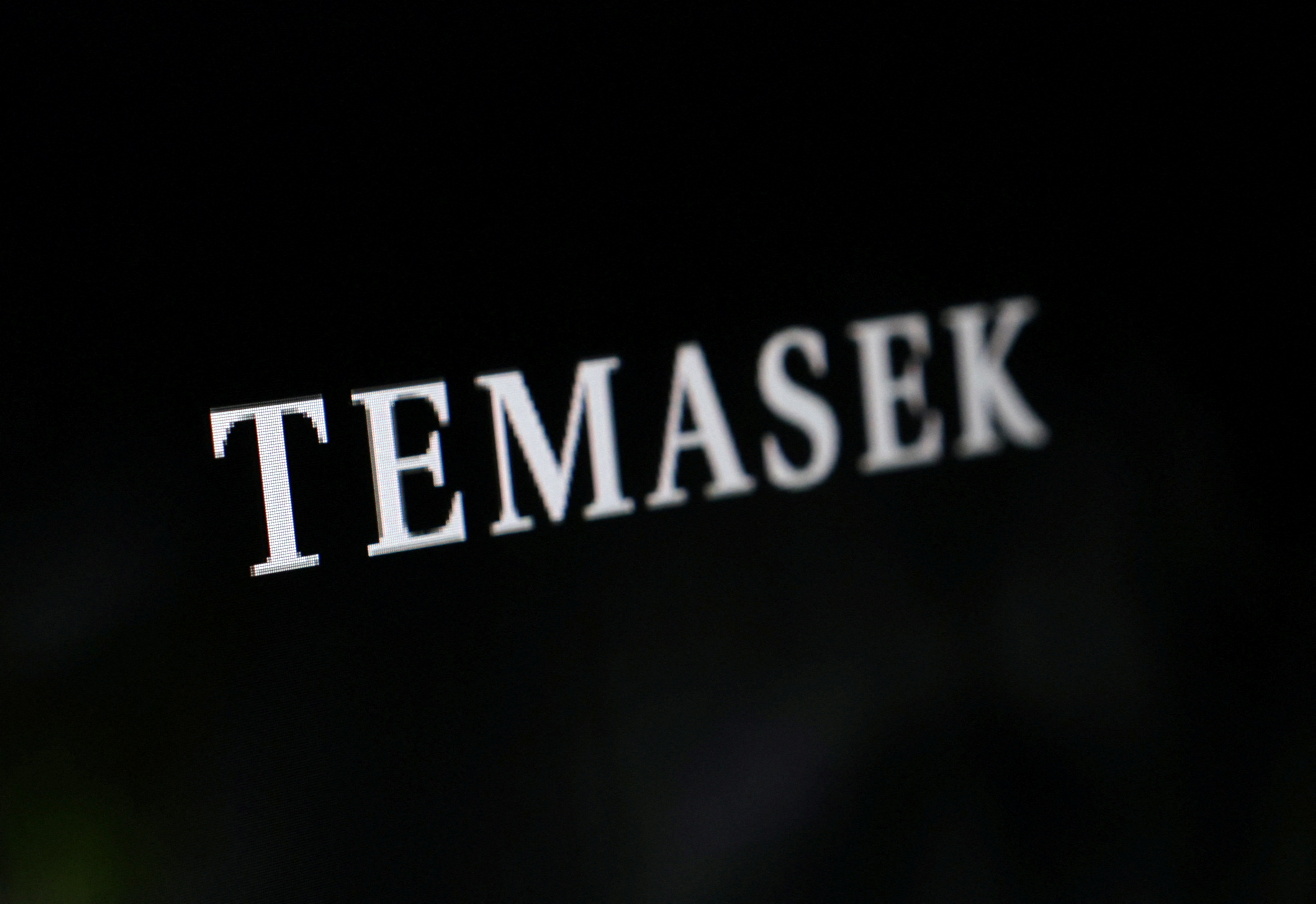 Illustration shows Temasek logo