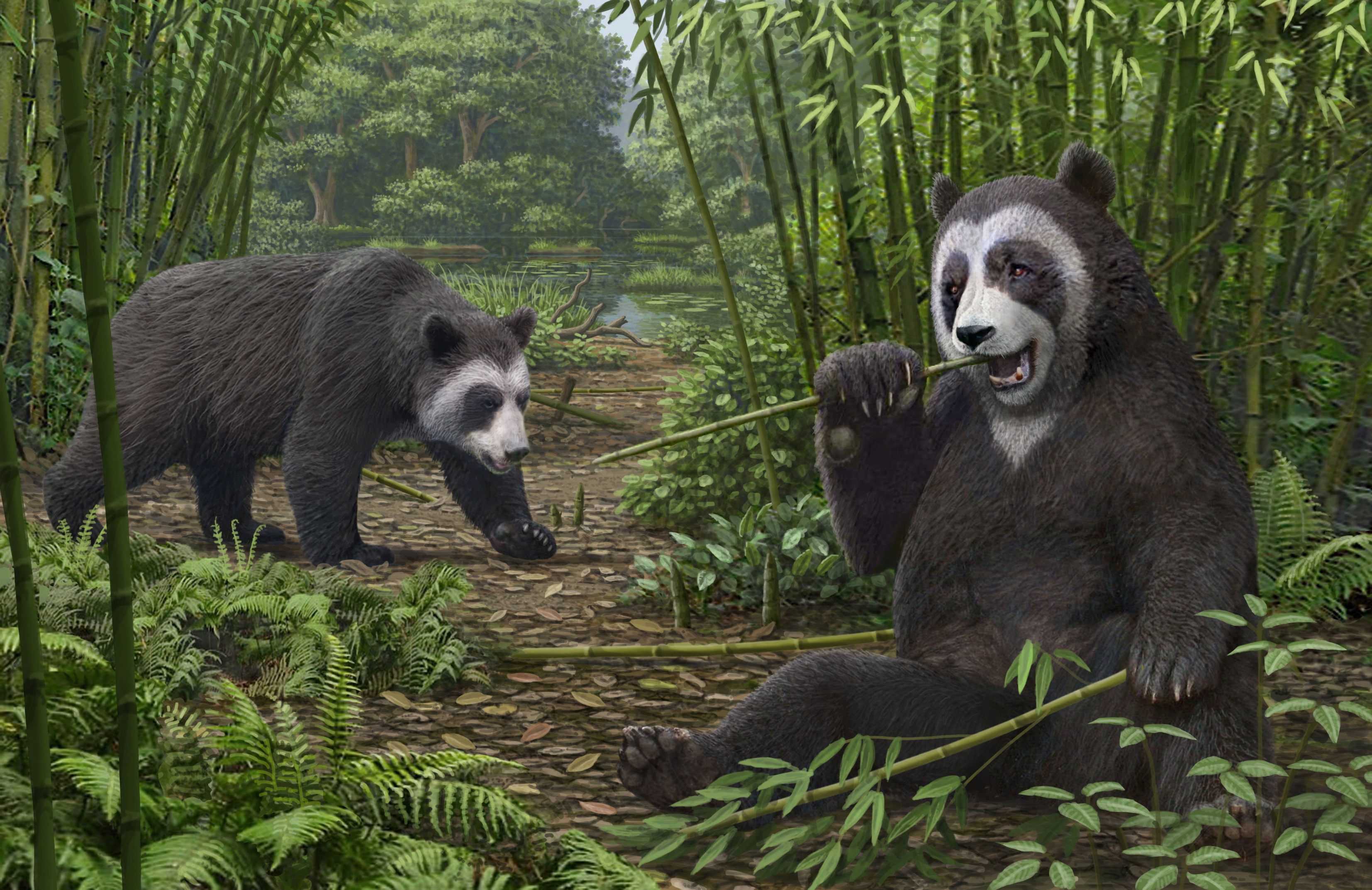 These giant 'drop bears' with opposable thumbs once scaled trees