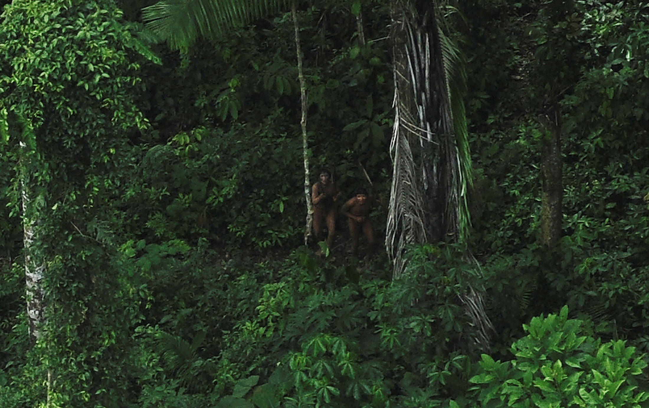 Uncontacted Tribes Amazon Rainforest