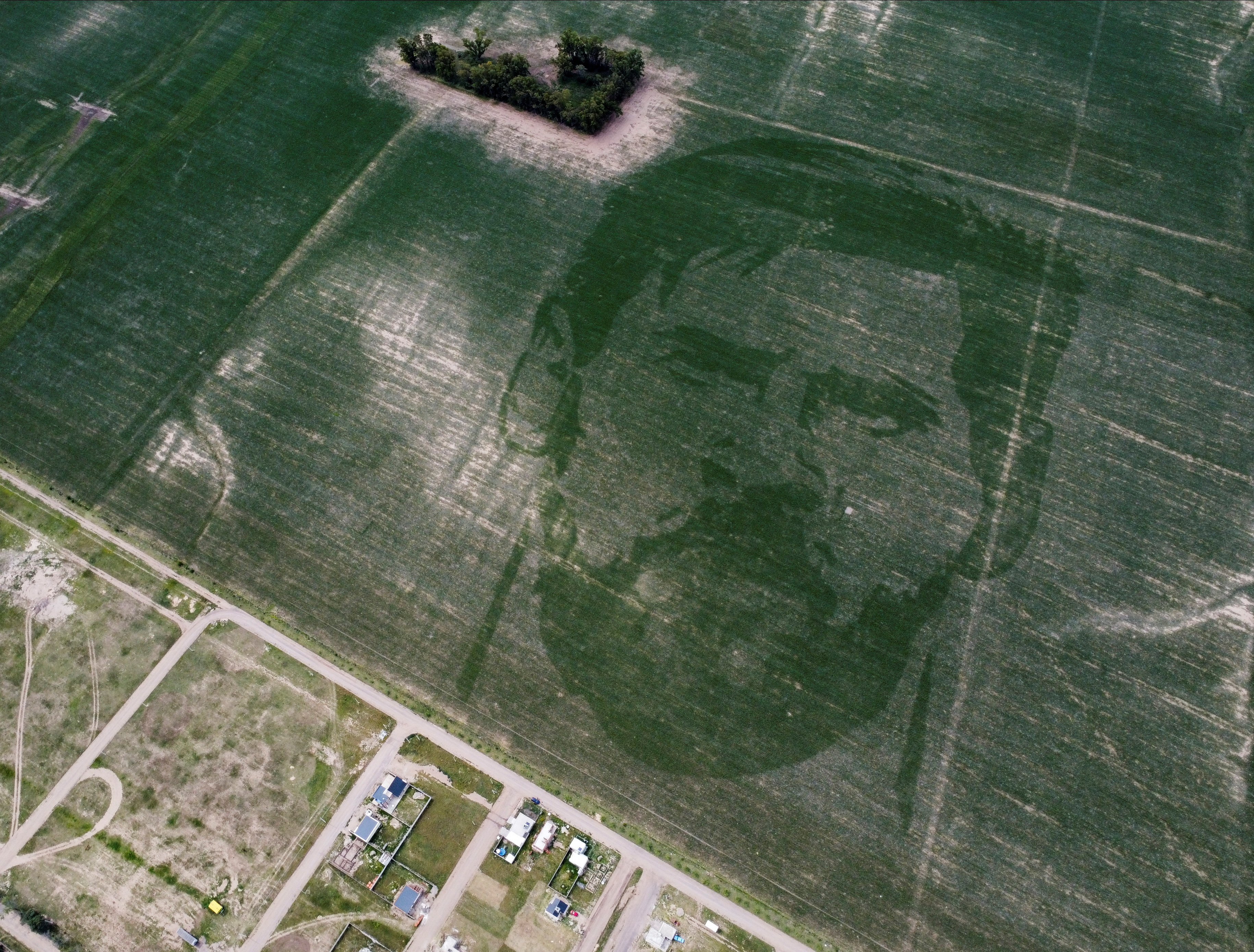 Un campo de maíz argentino se sembró con el rostro del mundialista Messi