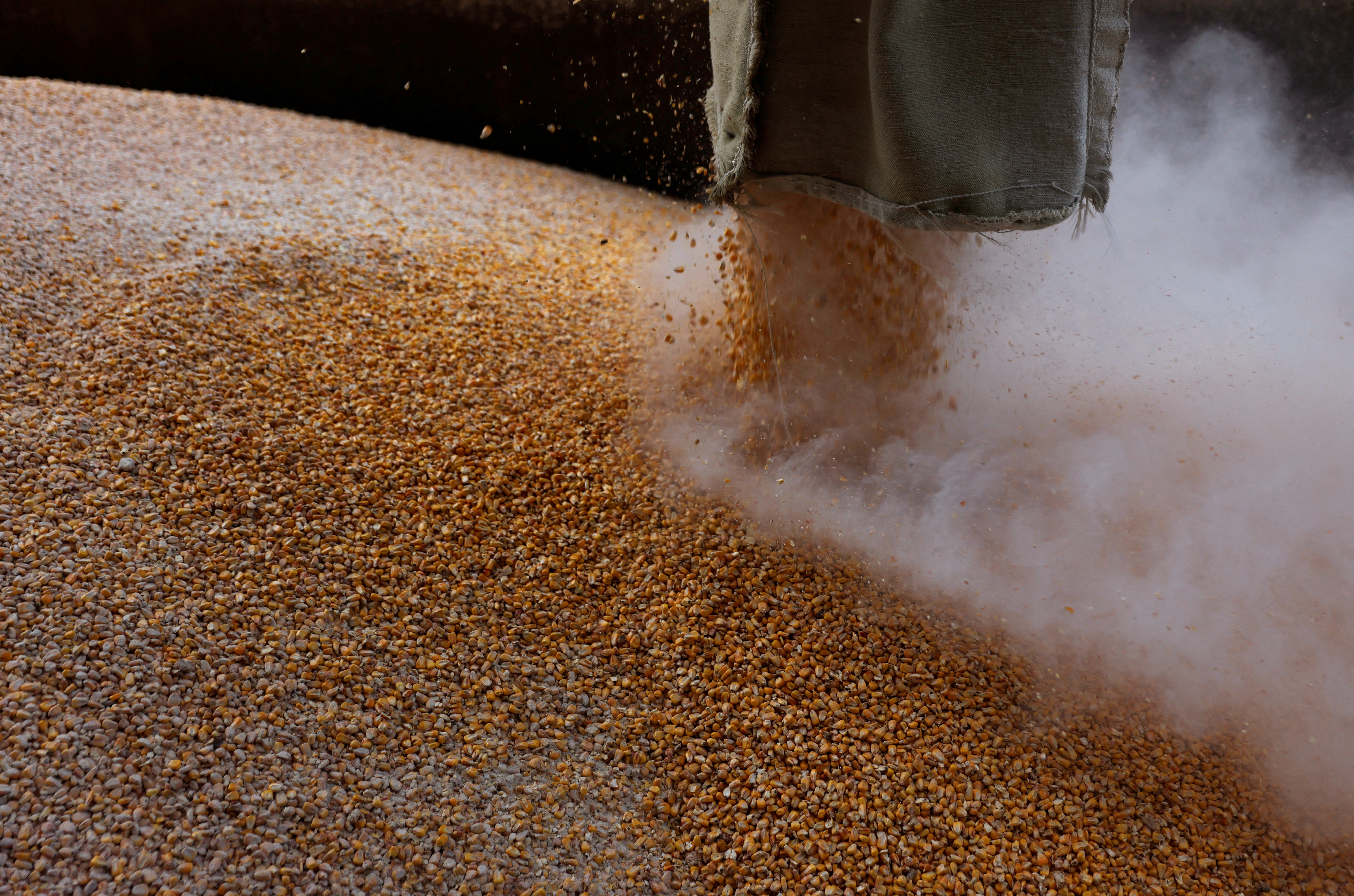 Почему зерно украины. Веяние зерна. Экспорт зерна. Поставки зерна. Отгрузка зерна.