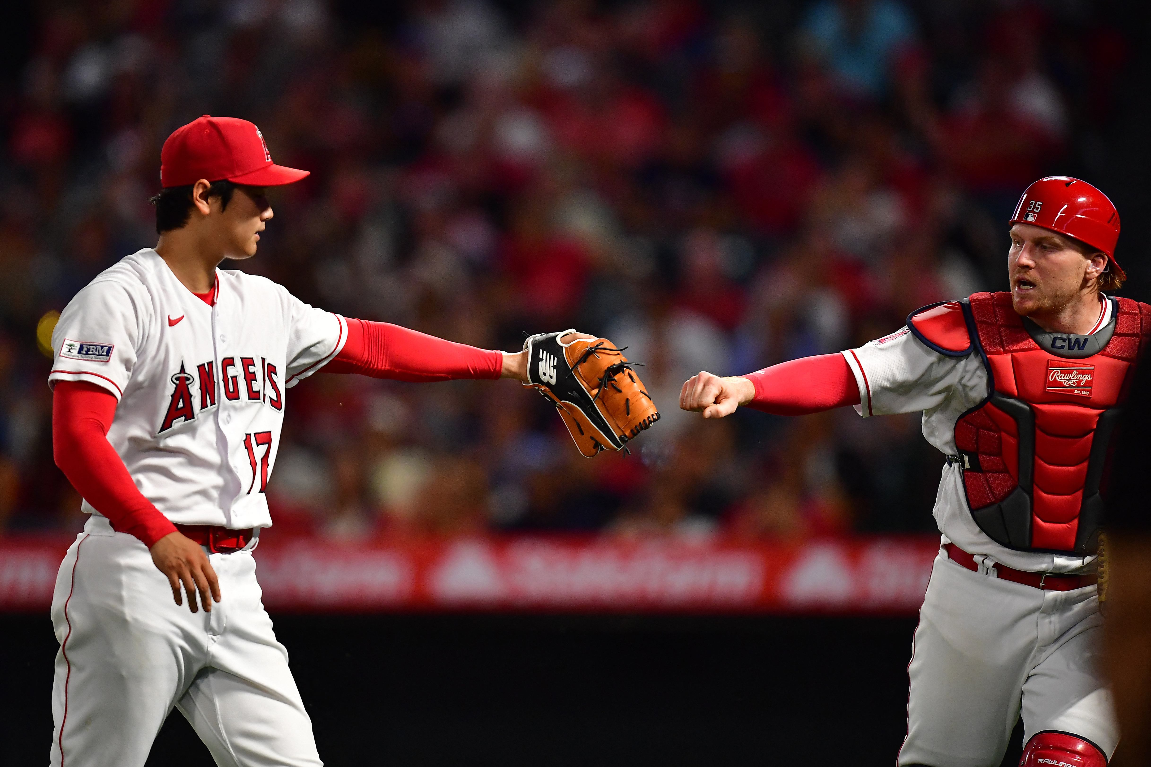 Shohei Ohtani strikes out 11, Angels beat Royals 2-0 – Queen City News