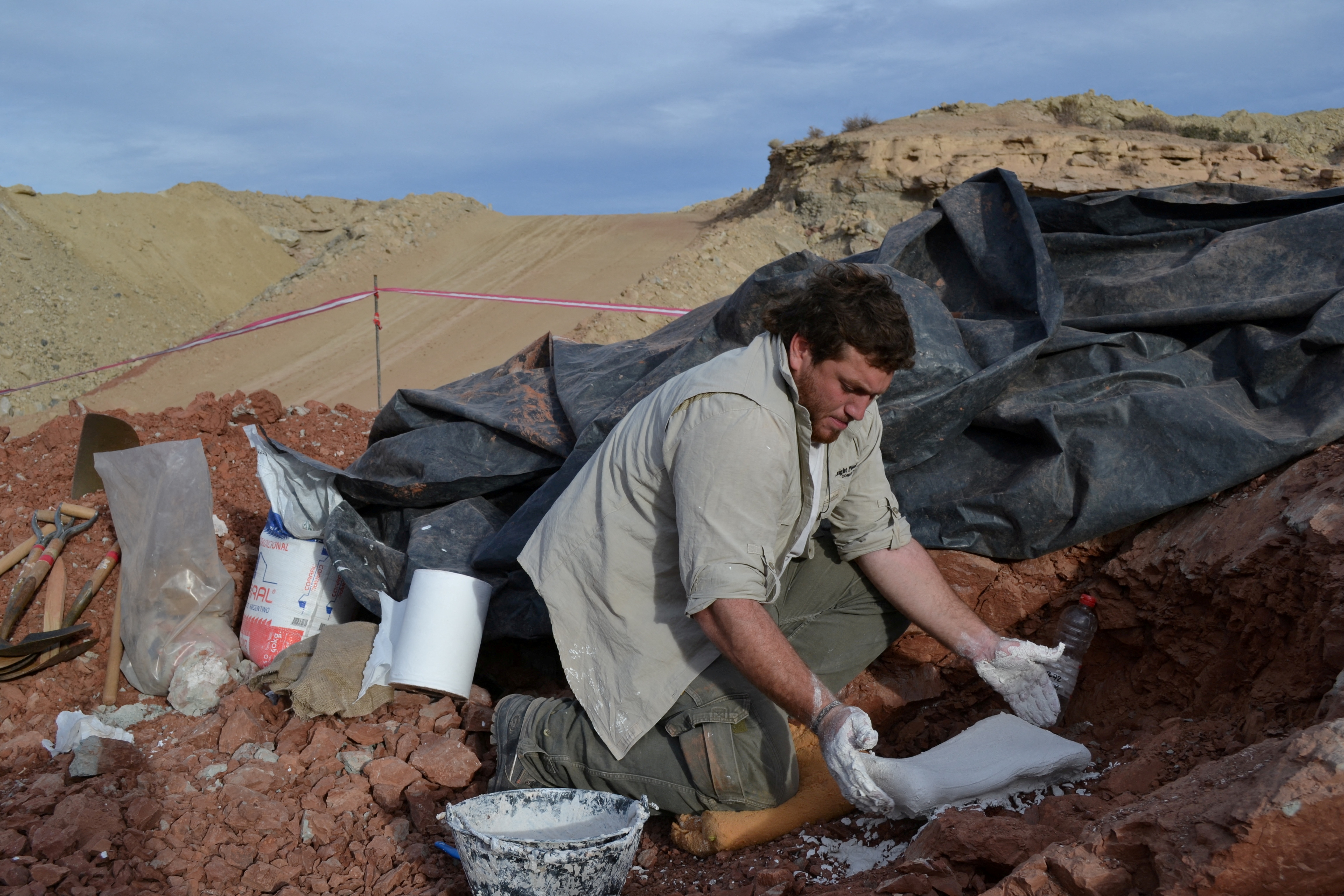 Argentine scientists discover largest pterosaur in South America