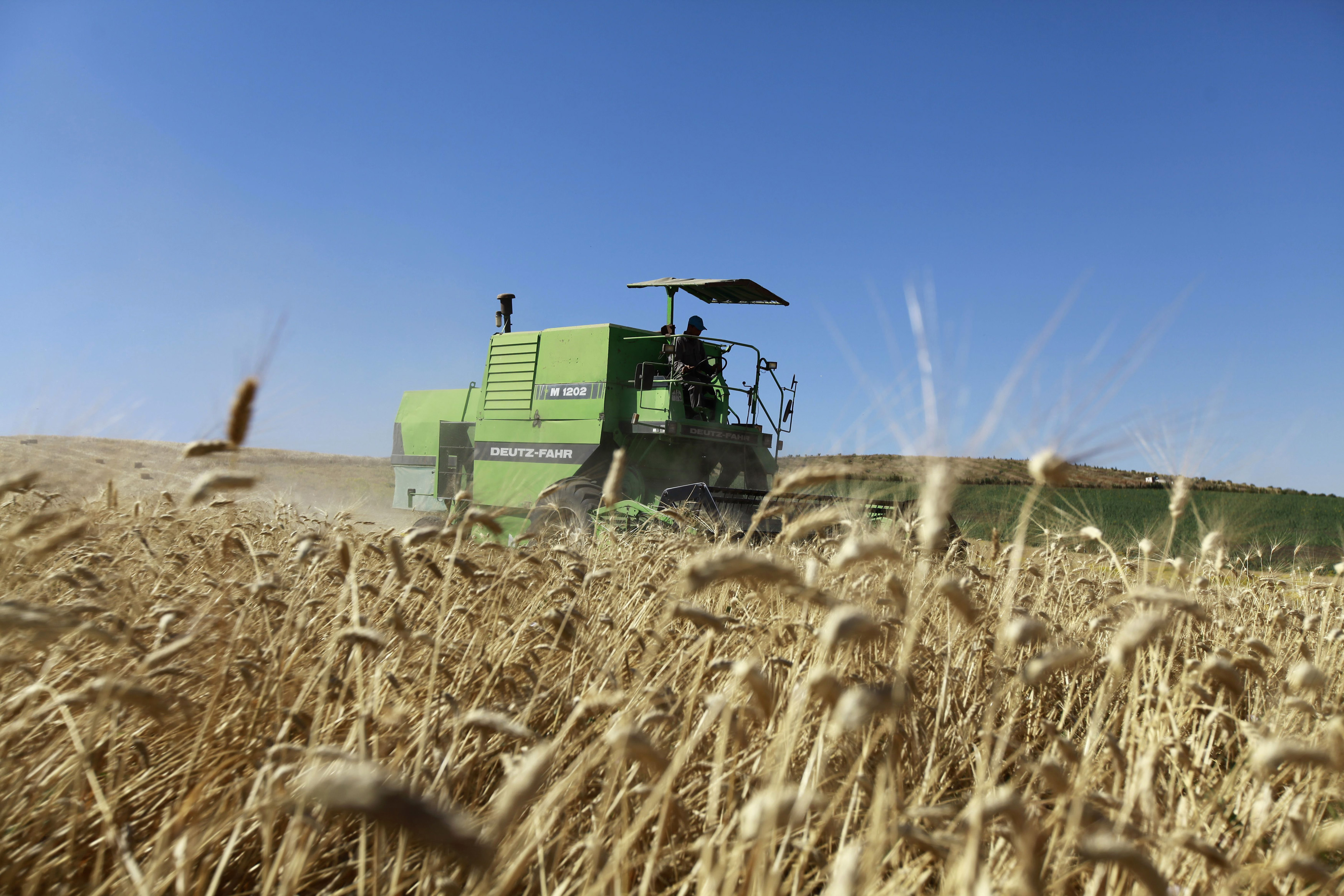 Africa could be hit hard by loss of Ukrainian grain exports, institute says  | Reuters