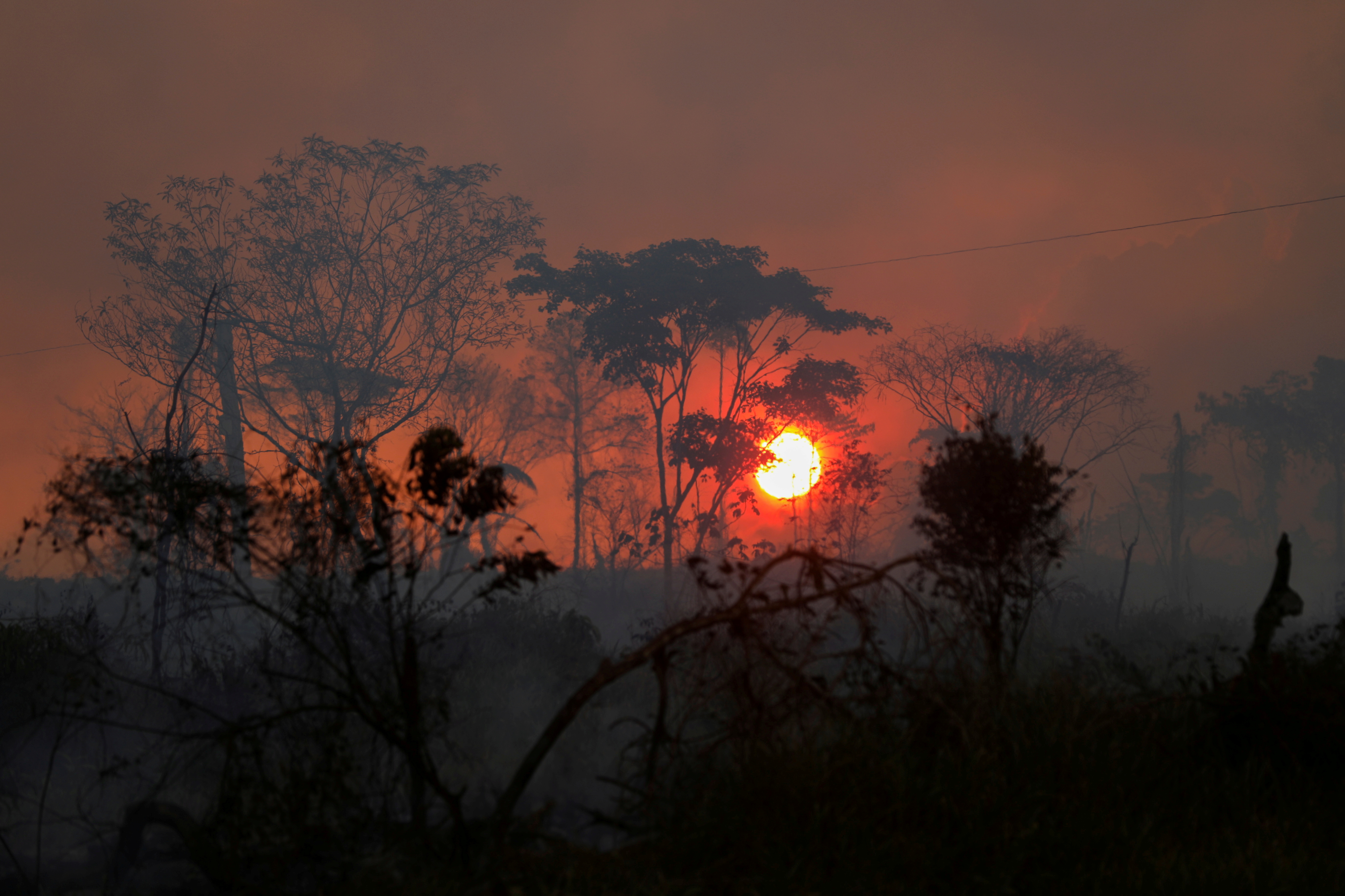 Brazil releases data on Amazon rainforest destruction for August